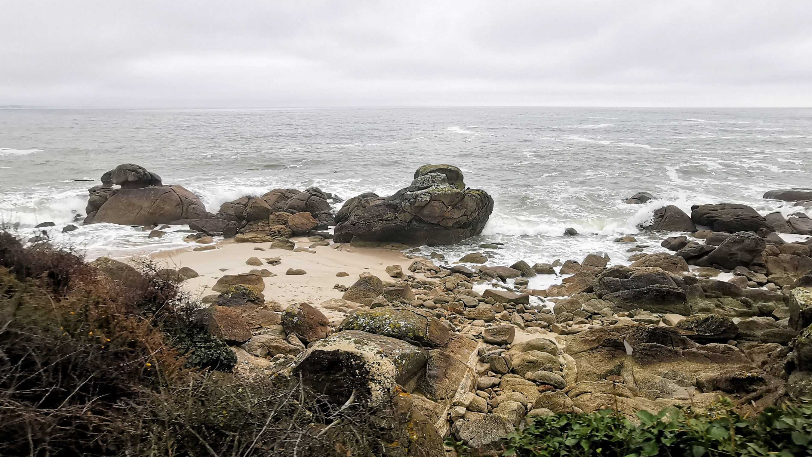 29-IMG_20210221_105120