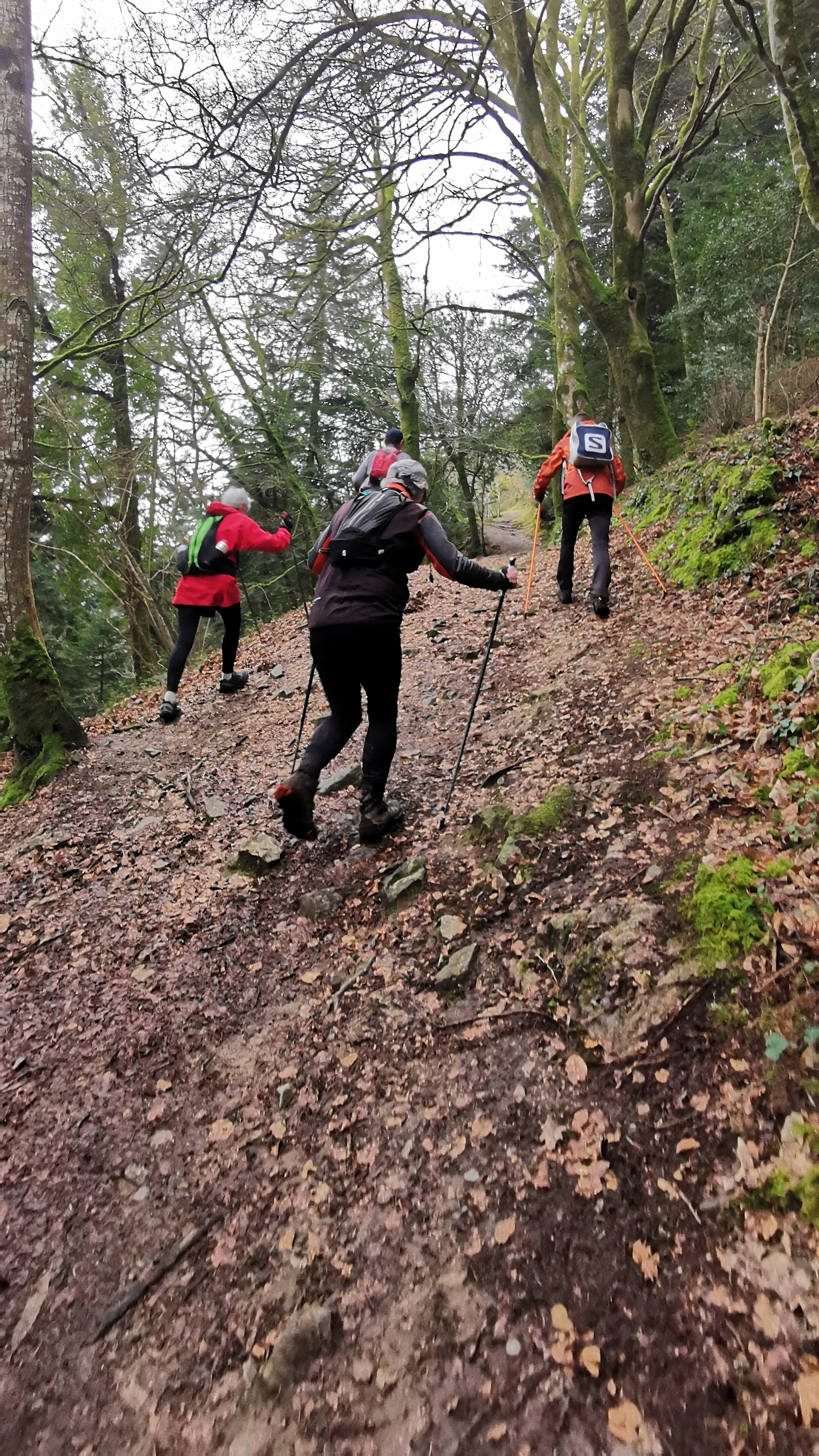 113-IMG_20210220_120840