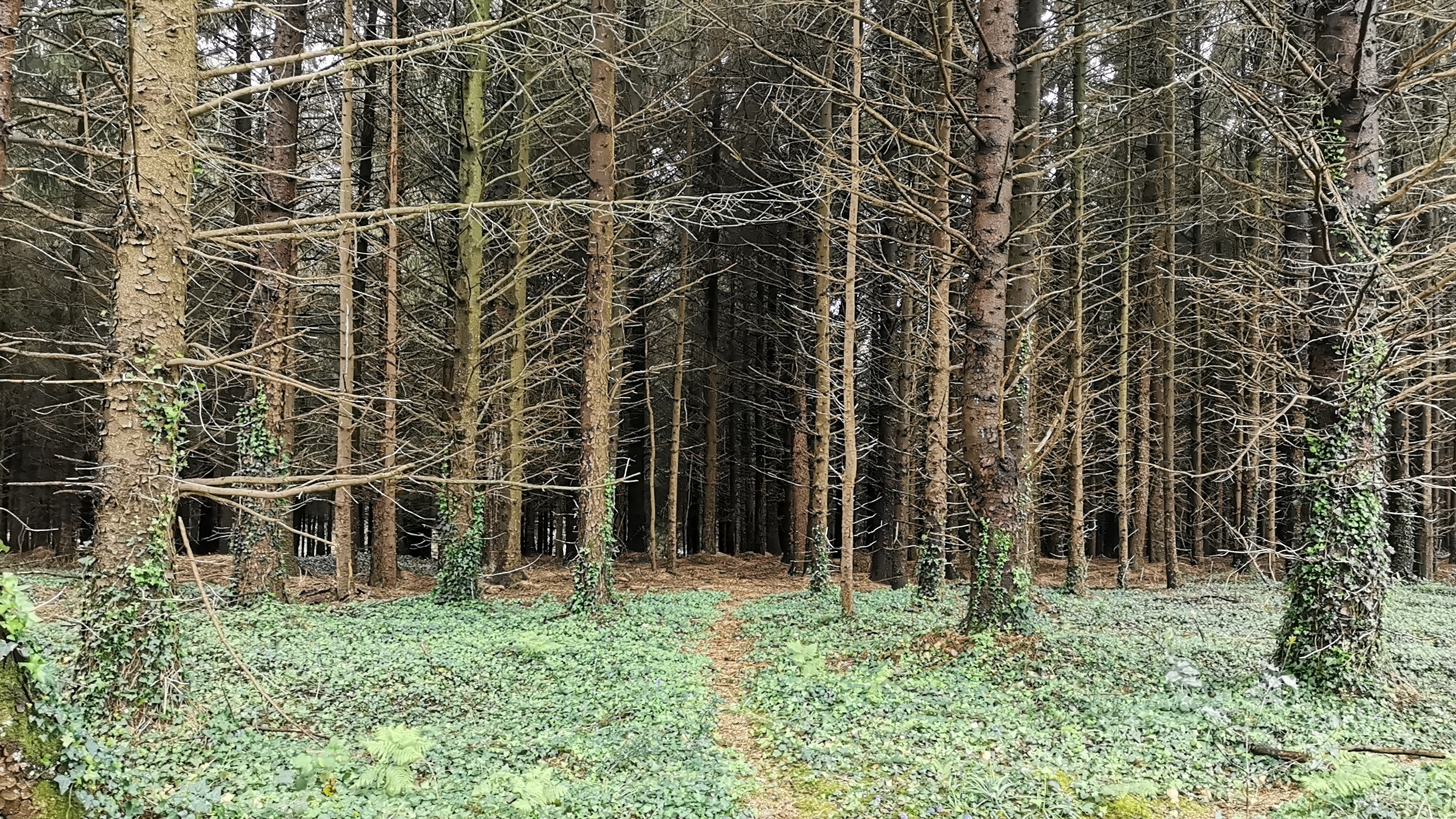 50-IMG_20210508_111252