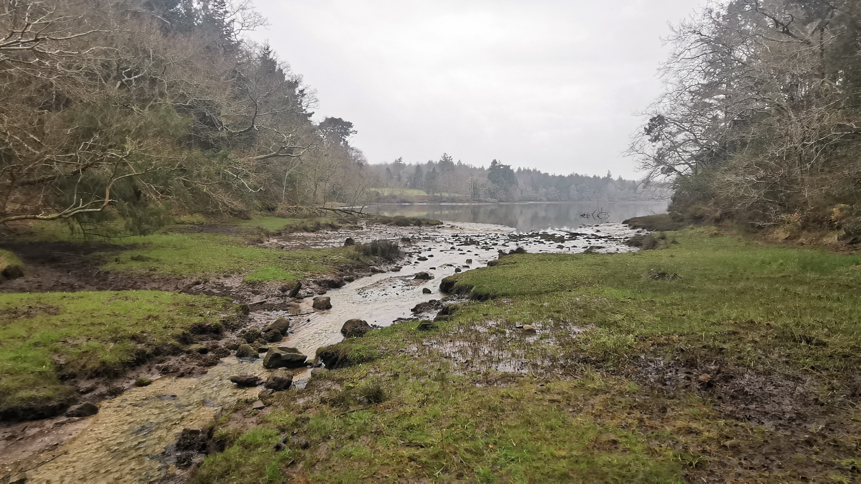 18-IMG_20210304_103438