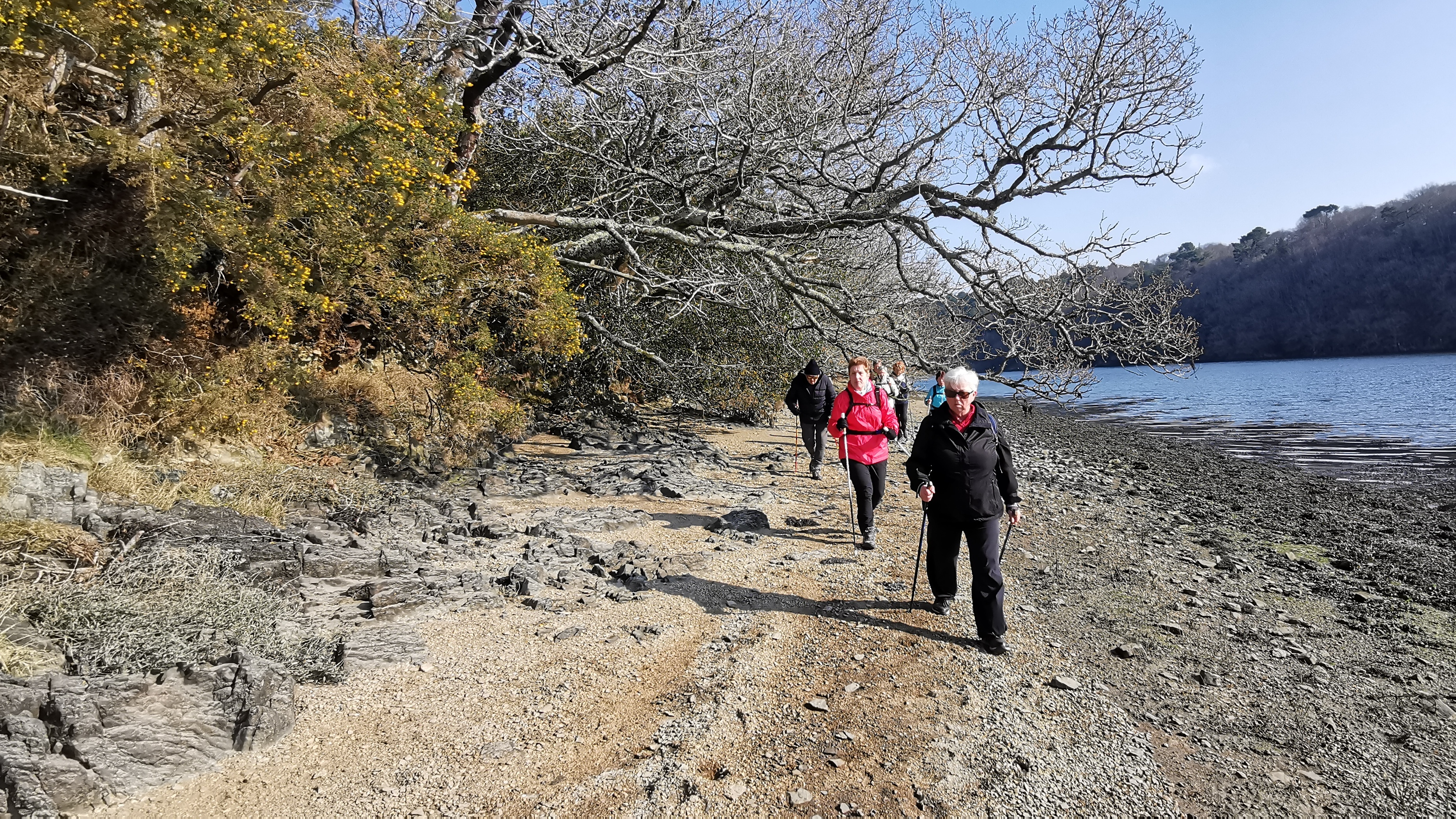 40-IMG_20210308_105720