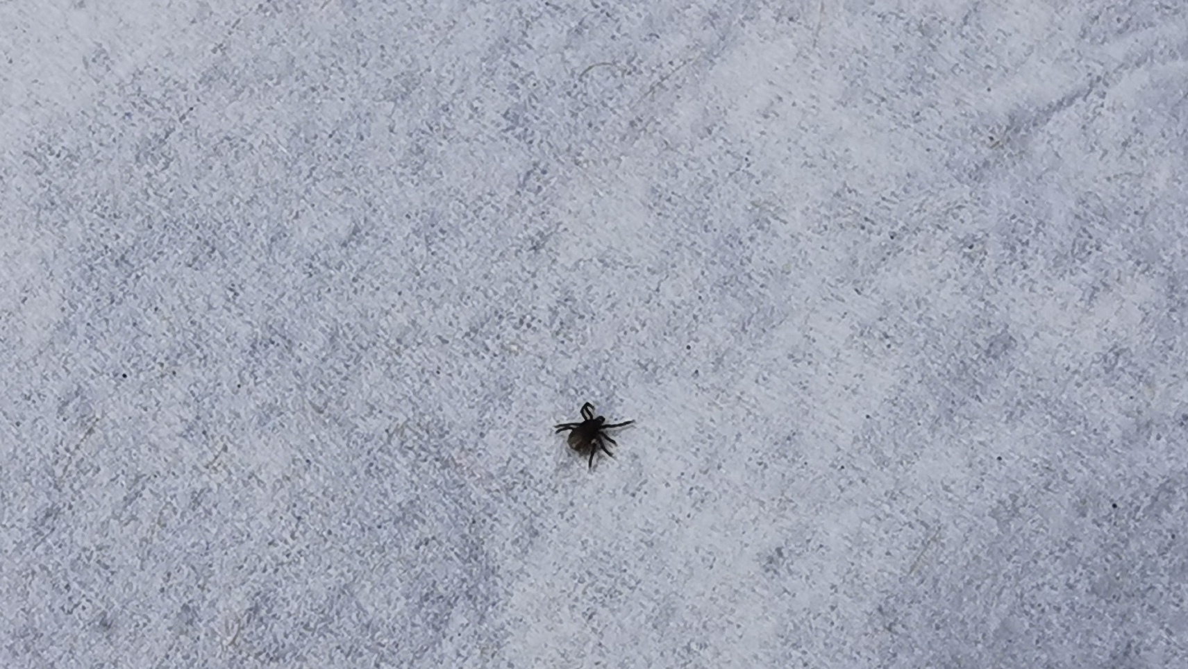 110-IMG_20210606_125115