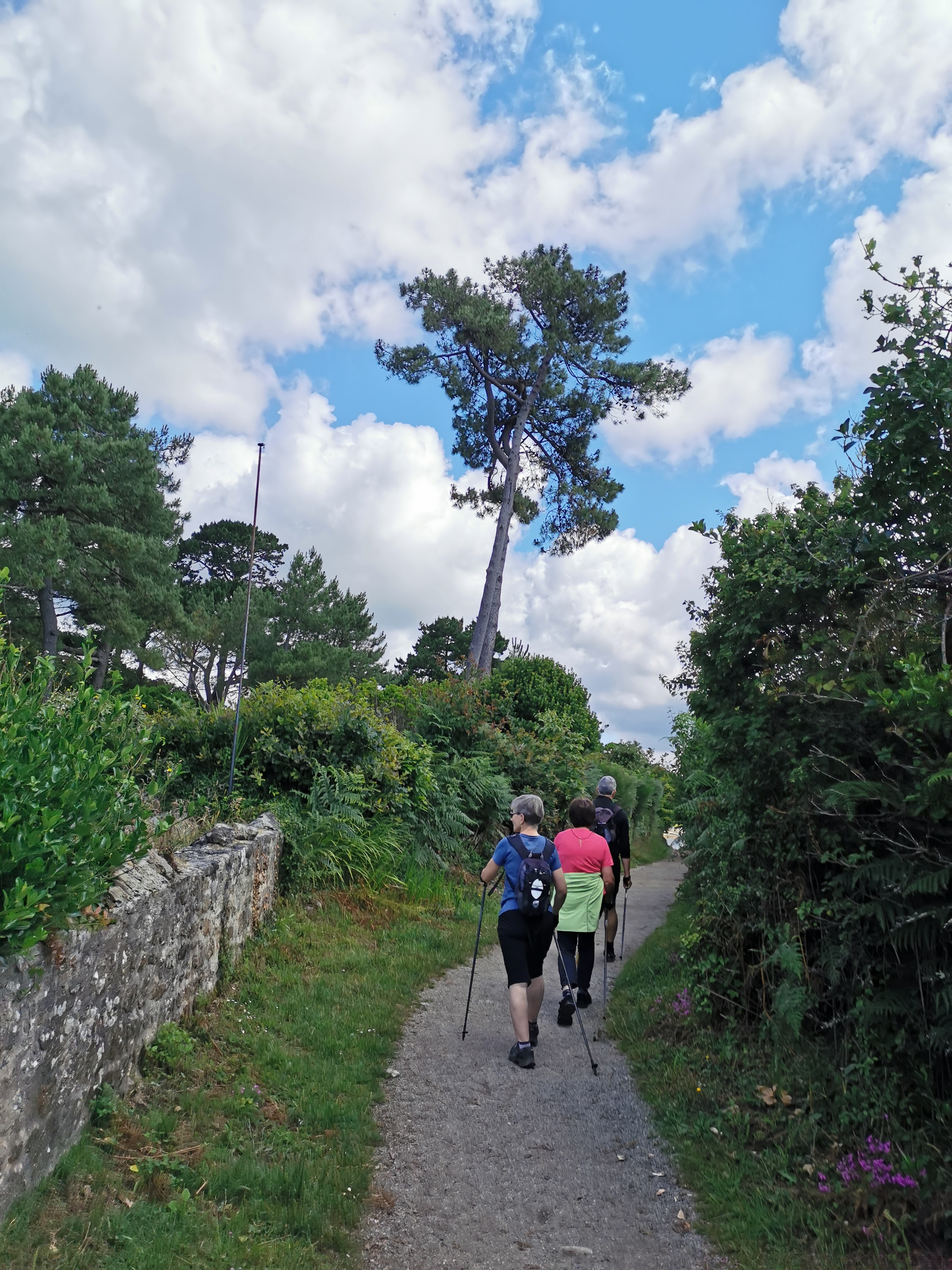 IMG_20190620_112927