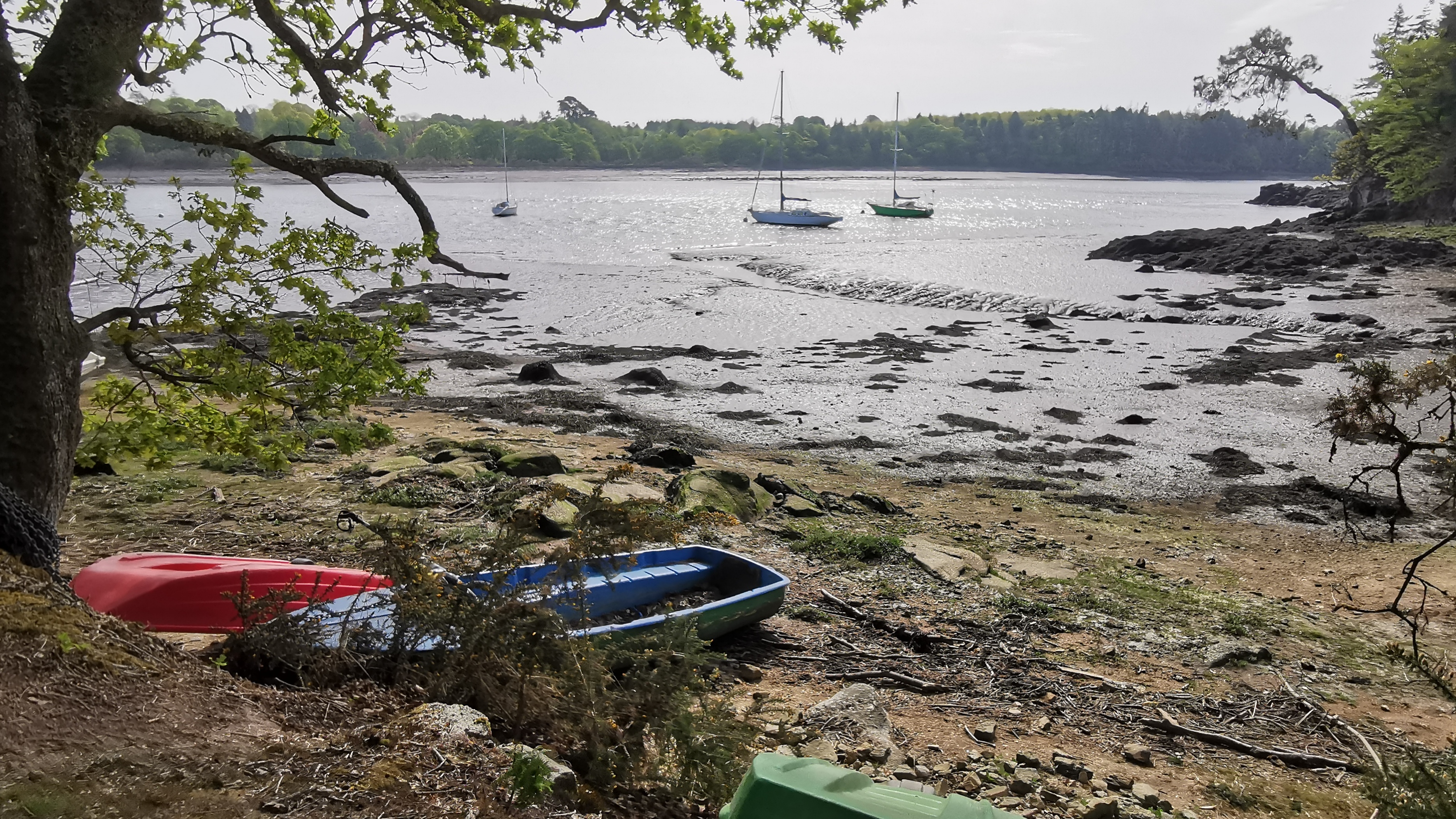 71-IMG_20210425_110819_1