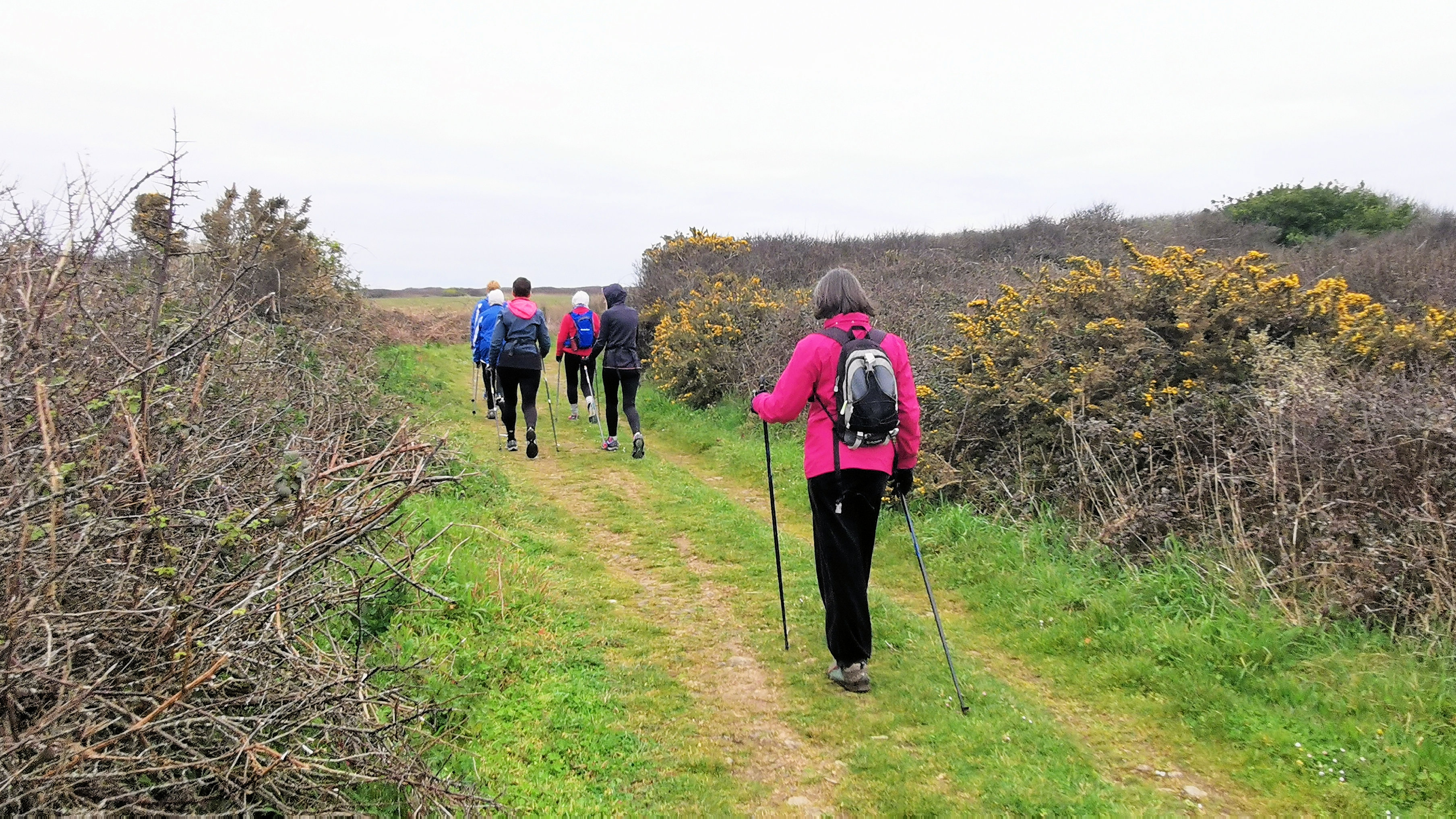 11-IMG_20210321_095002_1