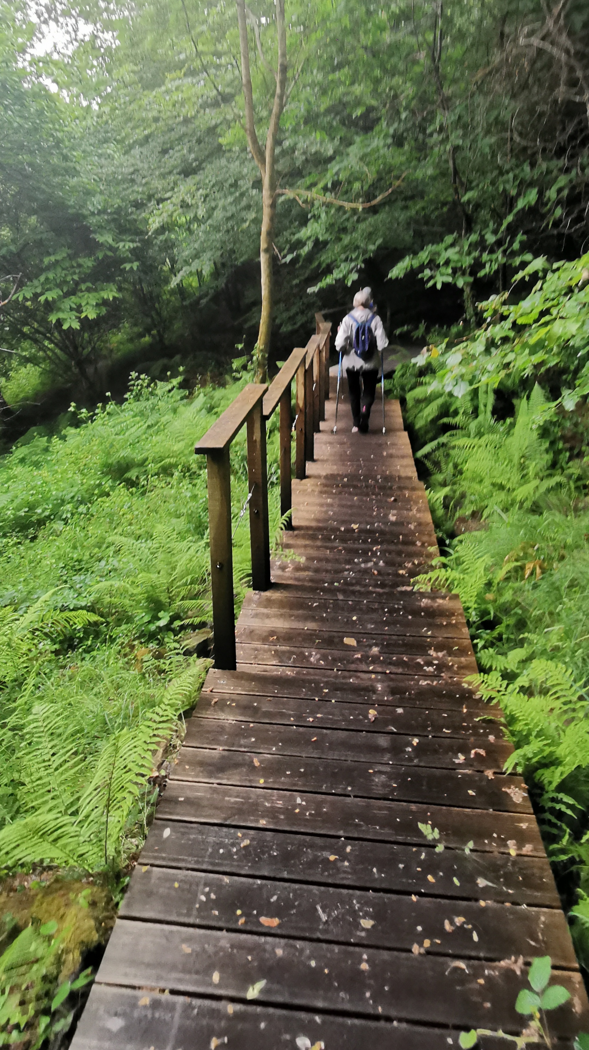 10-IMG_20210617_100244