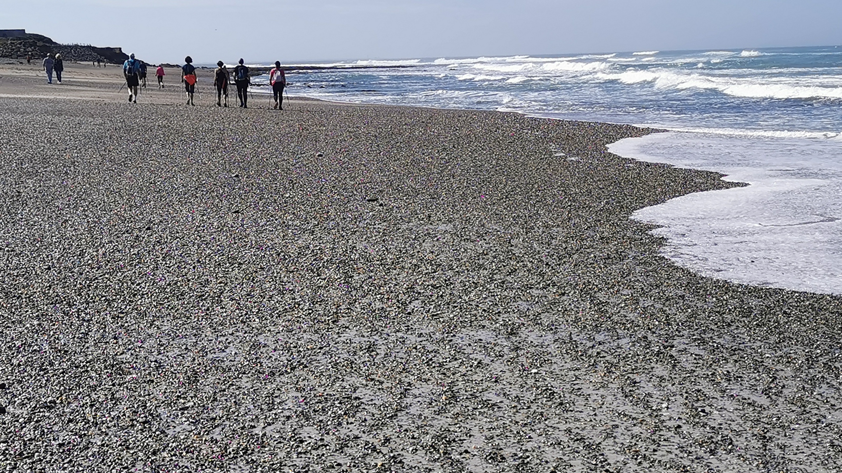 44-IMG_20210530_105733