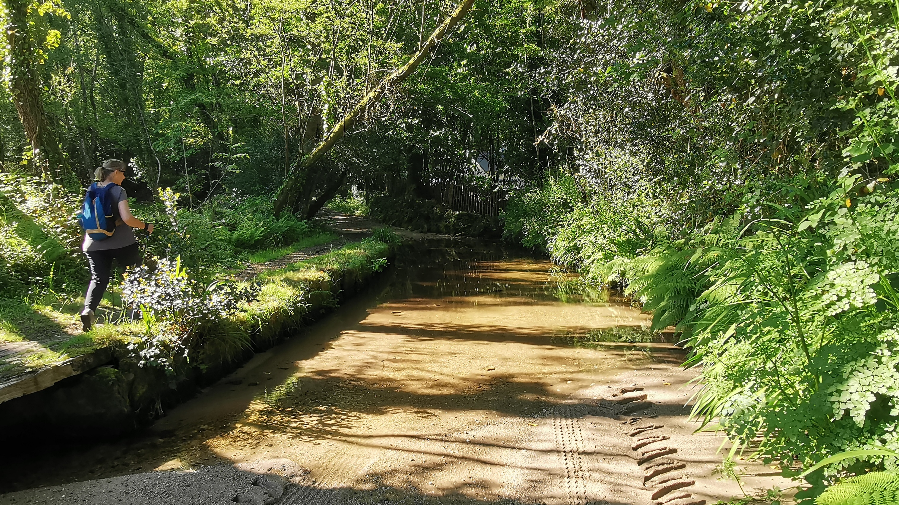 12-IMG_20210531_102243