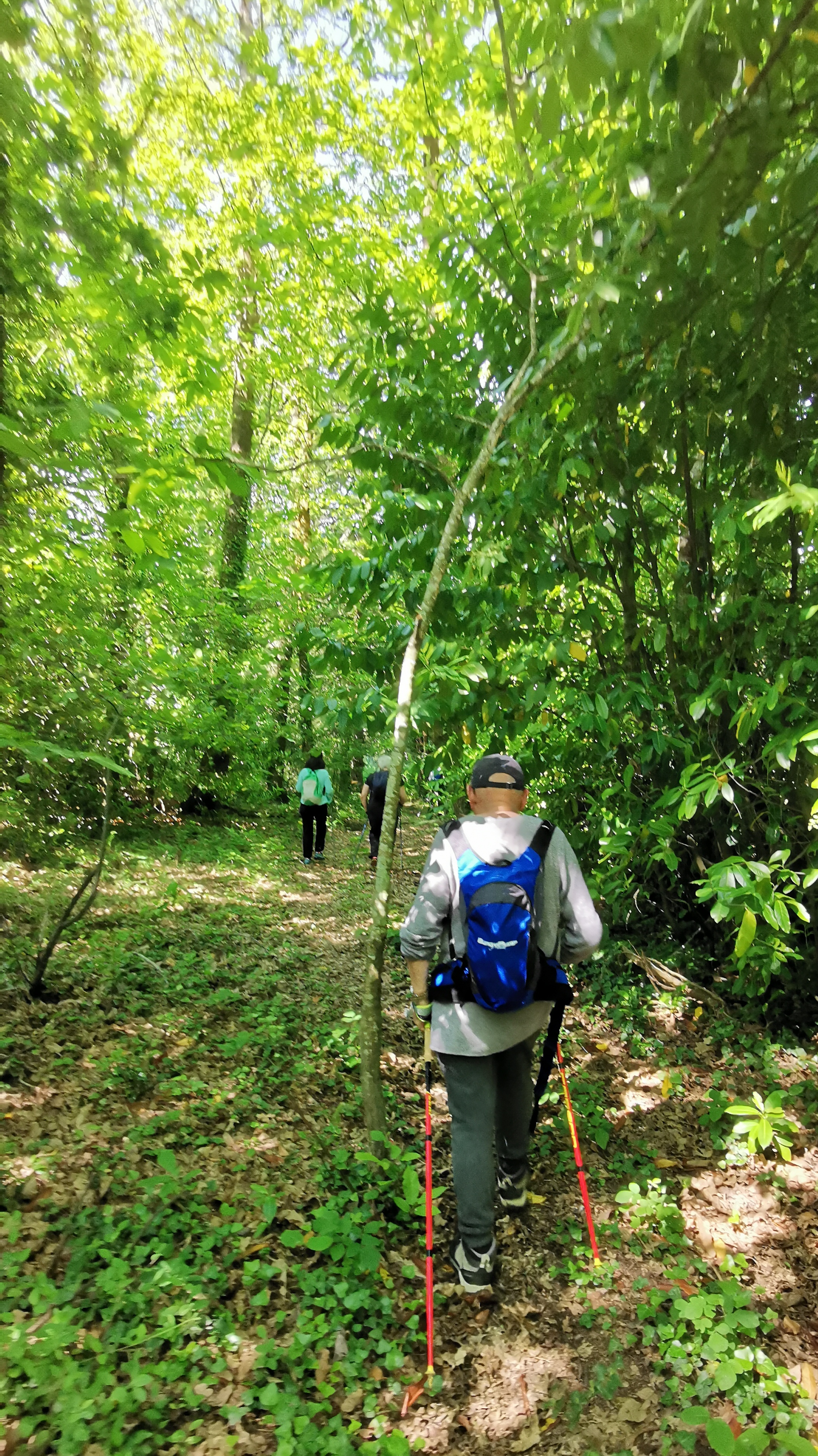 56-IMG_20210531_112451_1