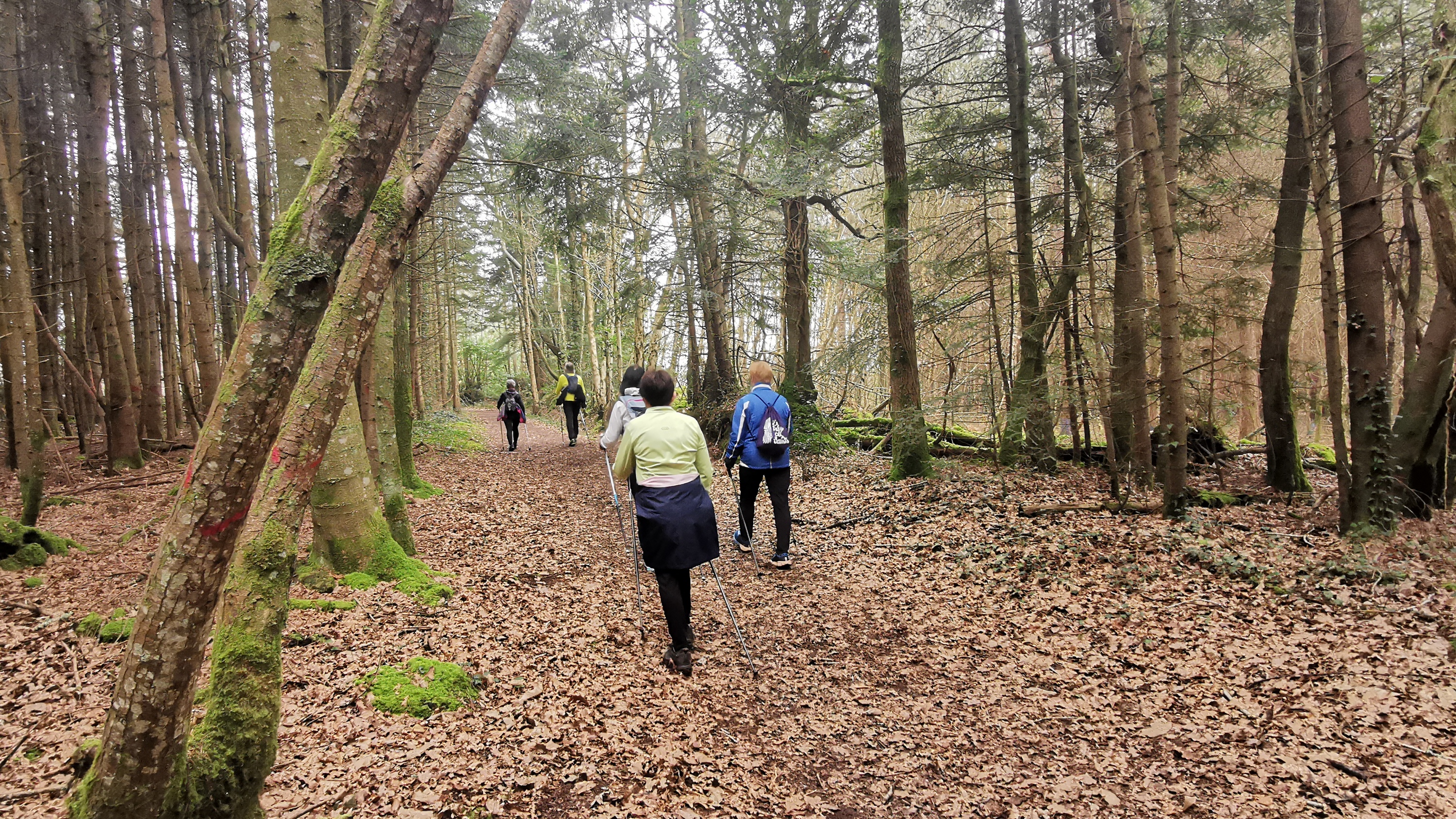 45-IMG_20210304_110835