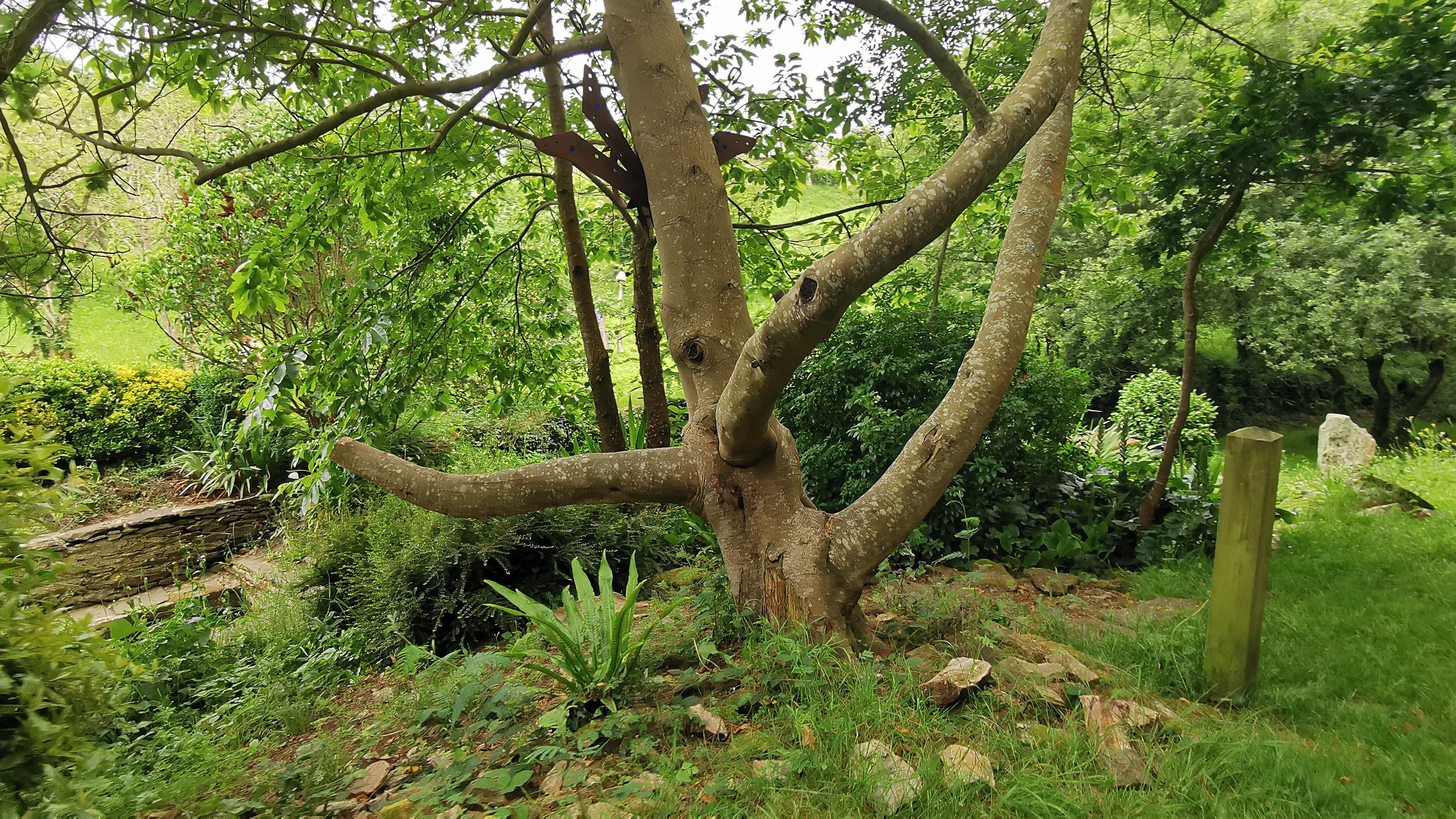 40-IMG_20210619_102156