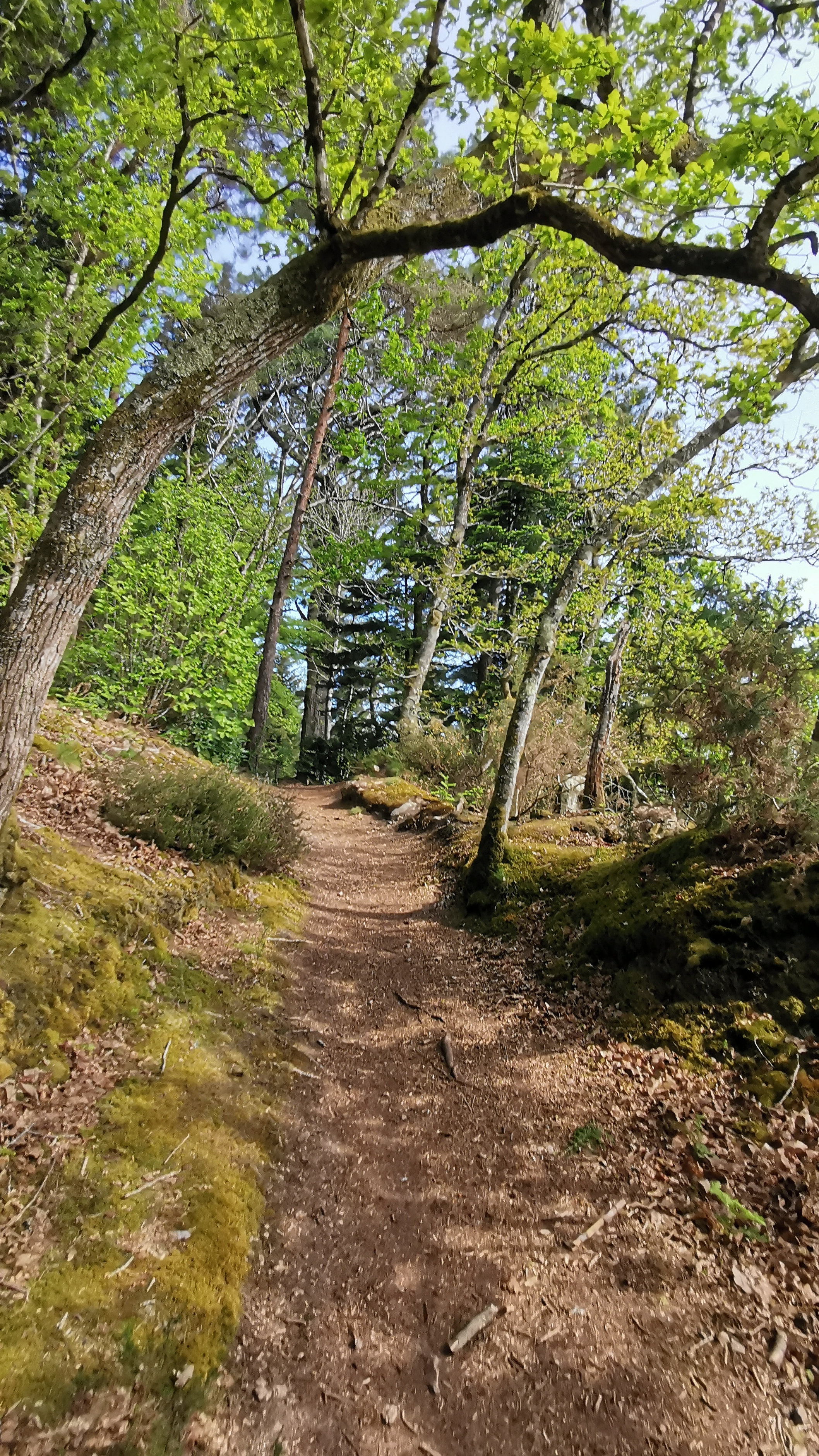 72-IMG_20210425_110831