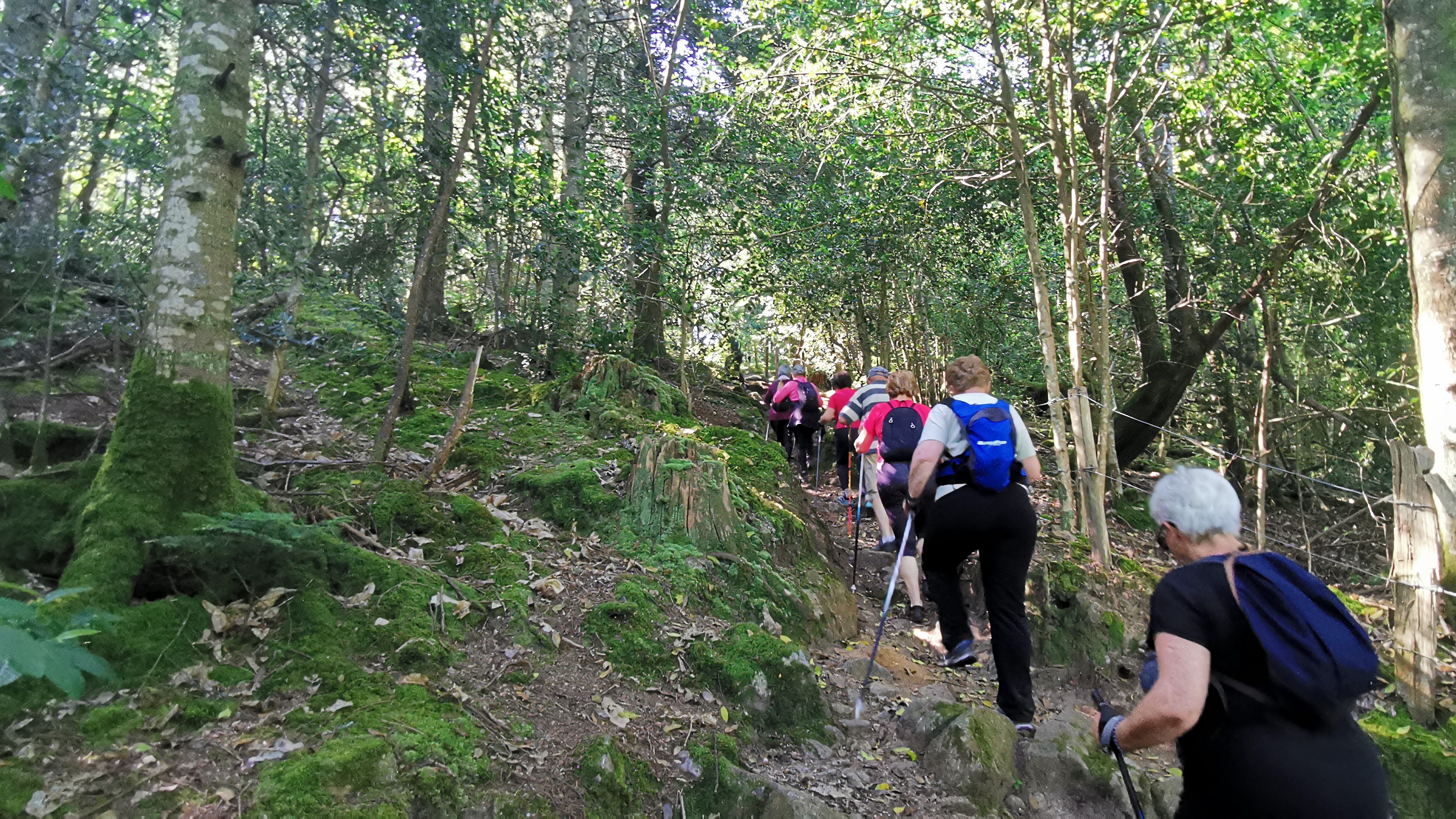 16-IMG_20210614_105810