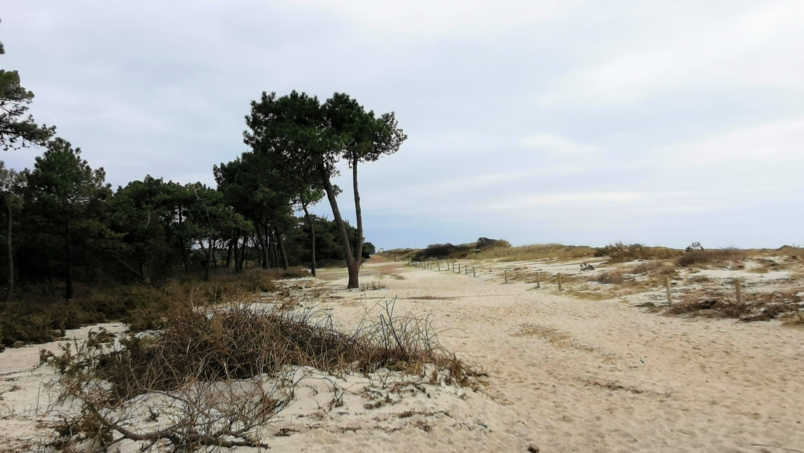 23-IMG_20210208_114503