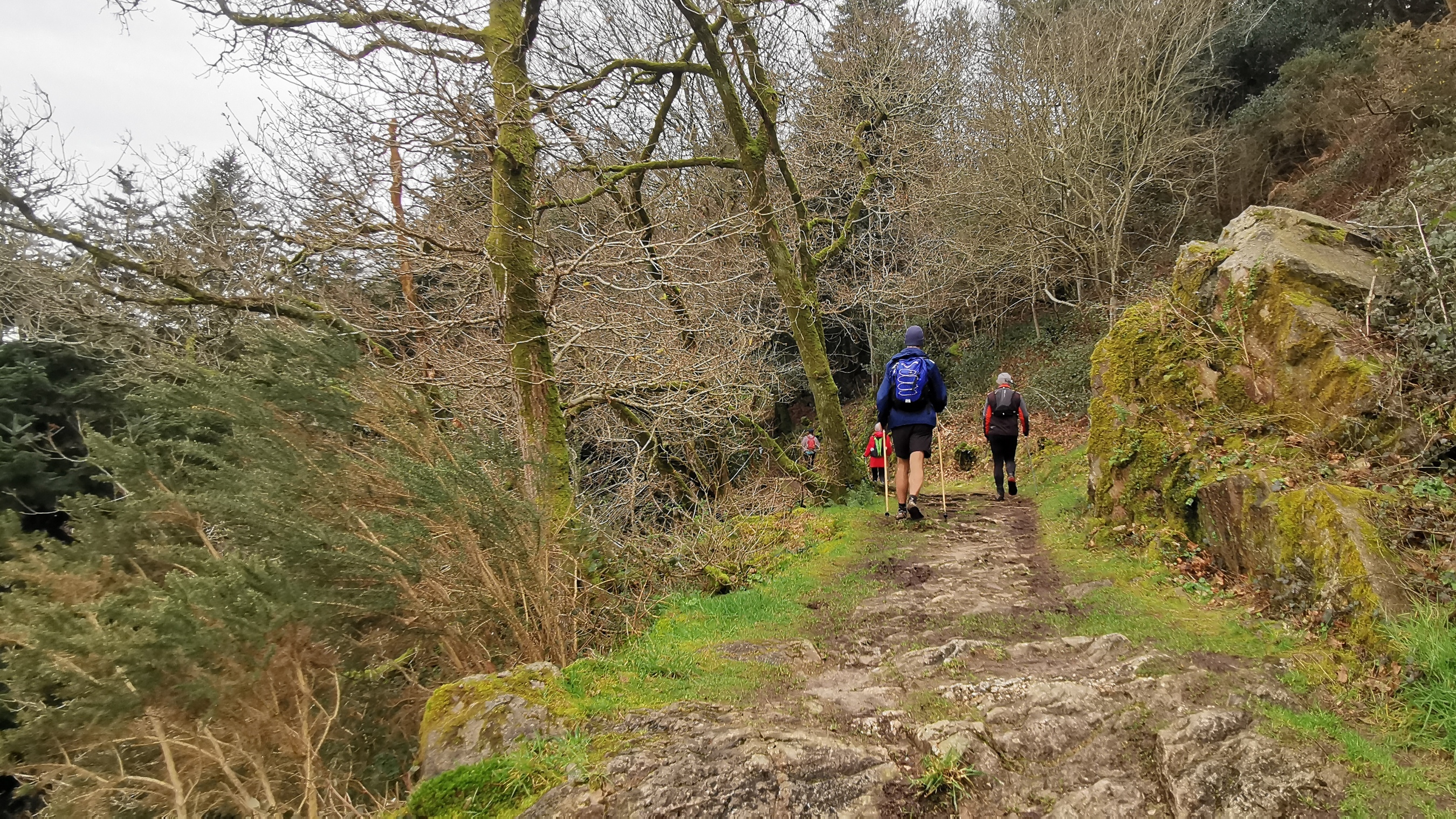 118-IMG_20210220_121003