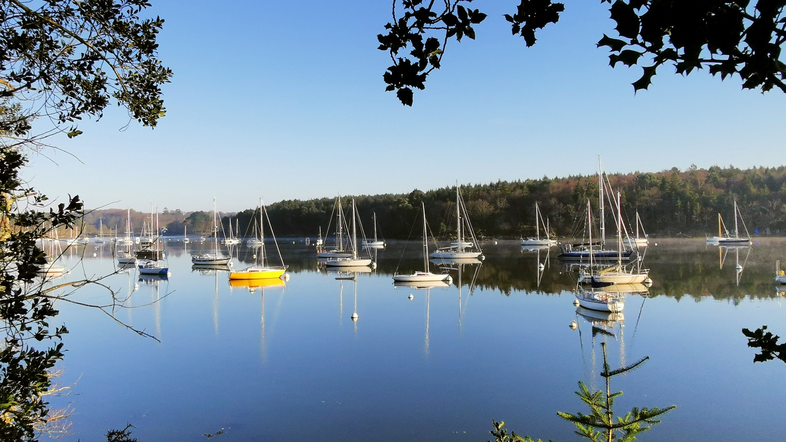 03-IMG_20210206_094241