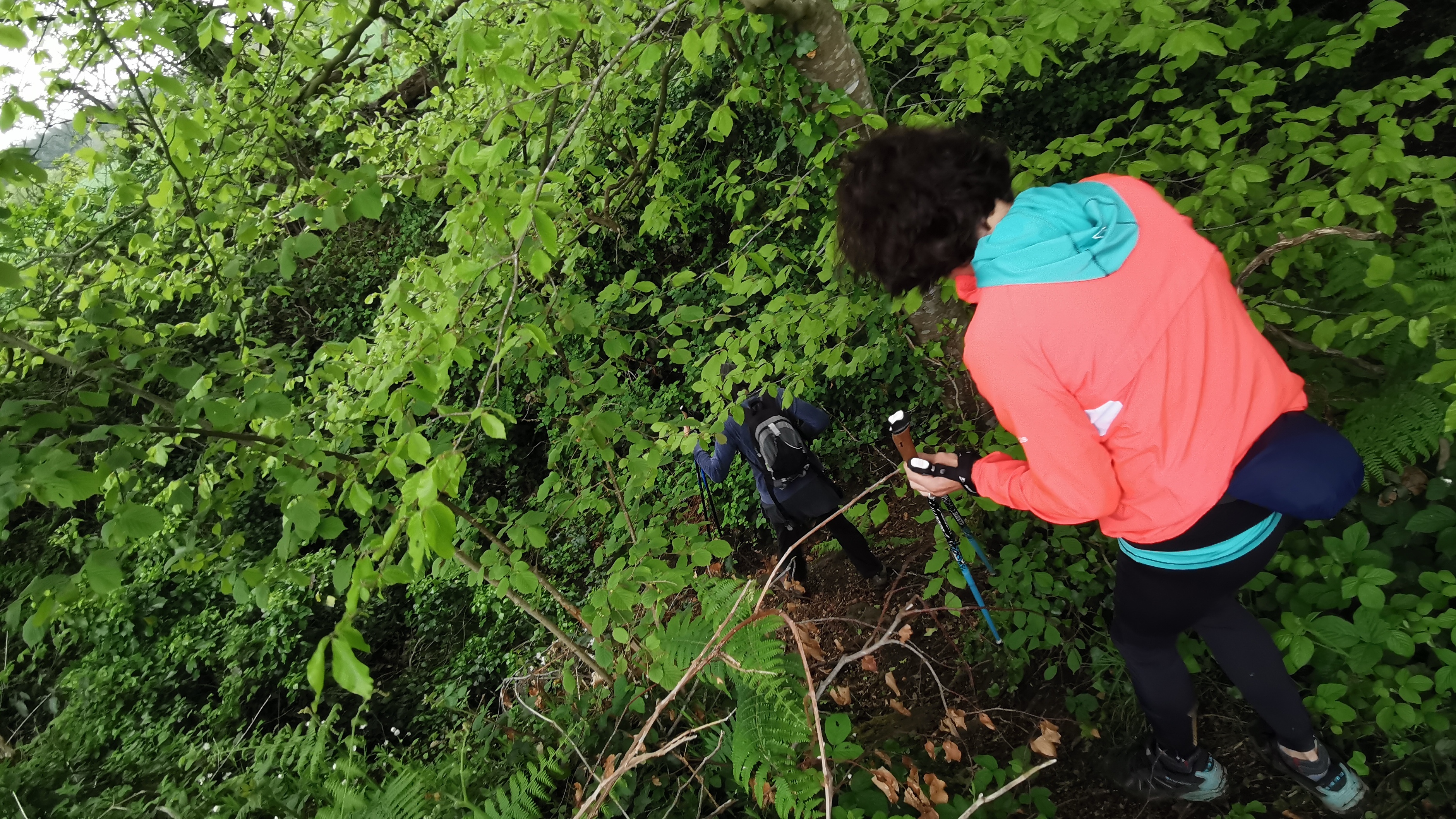 39-IMG_20210508_105435_1