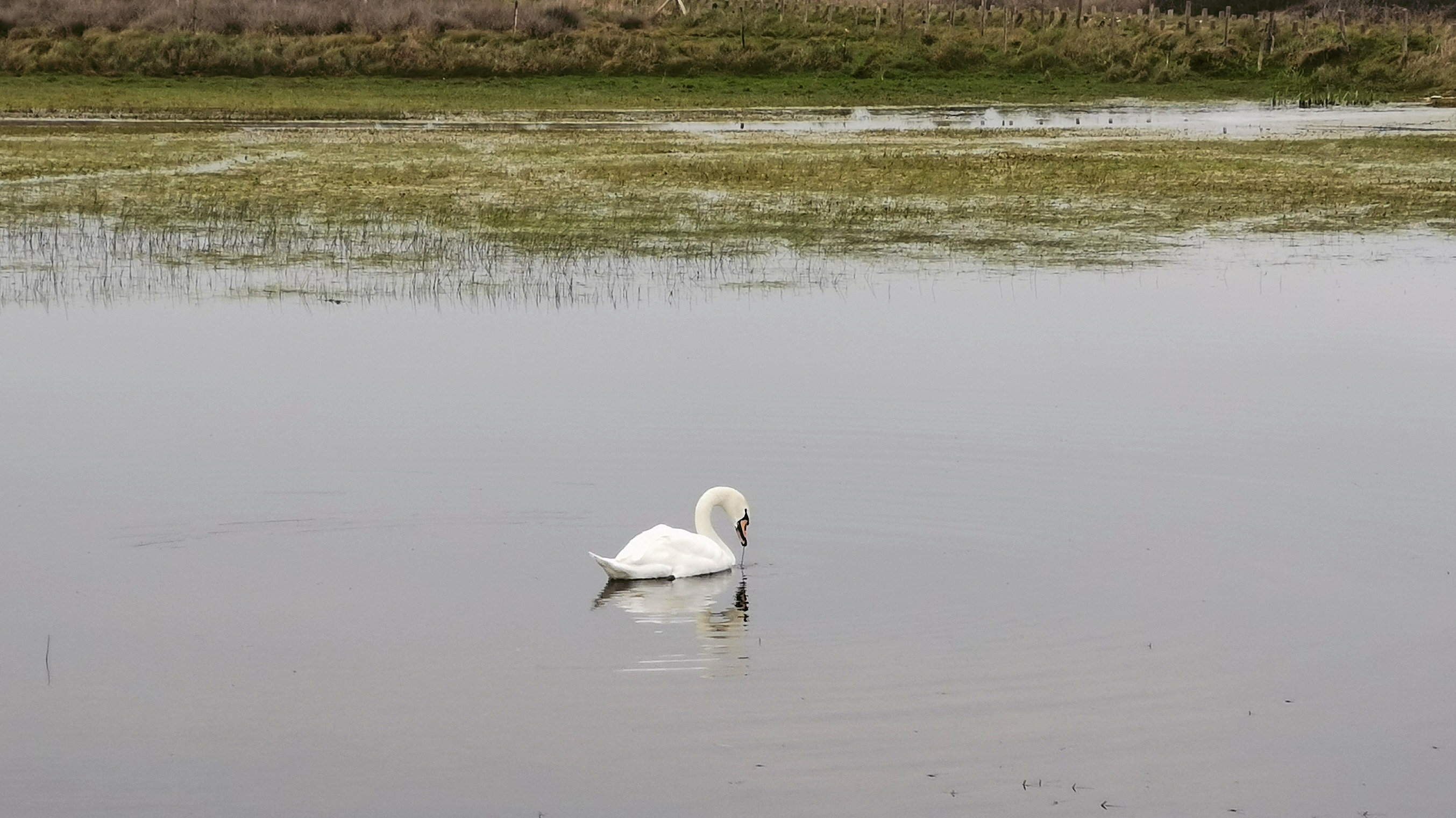 05-IMG_20210321_091045