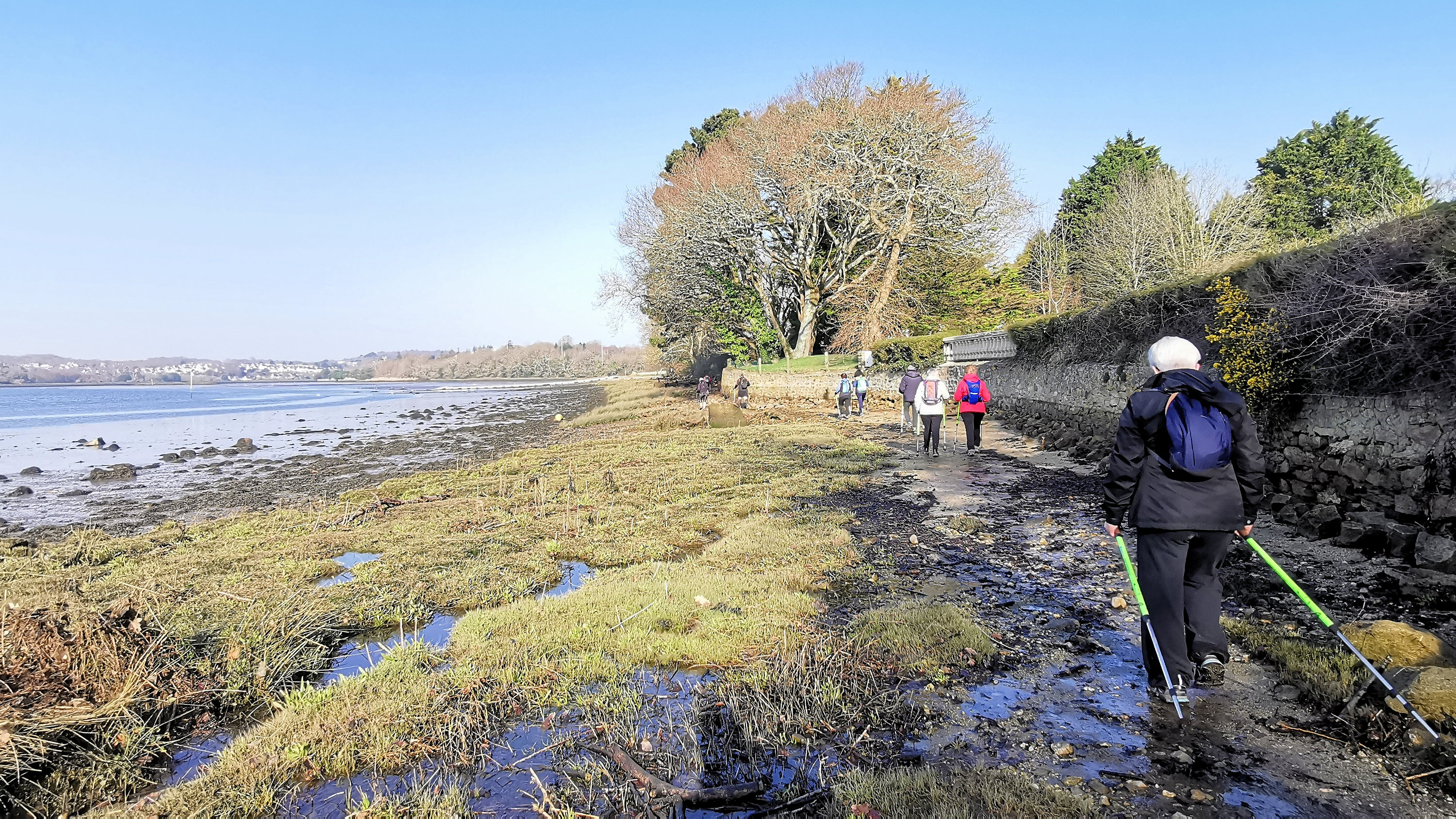 24-IMG_20210301_104201