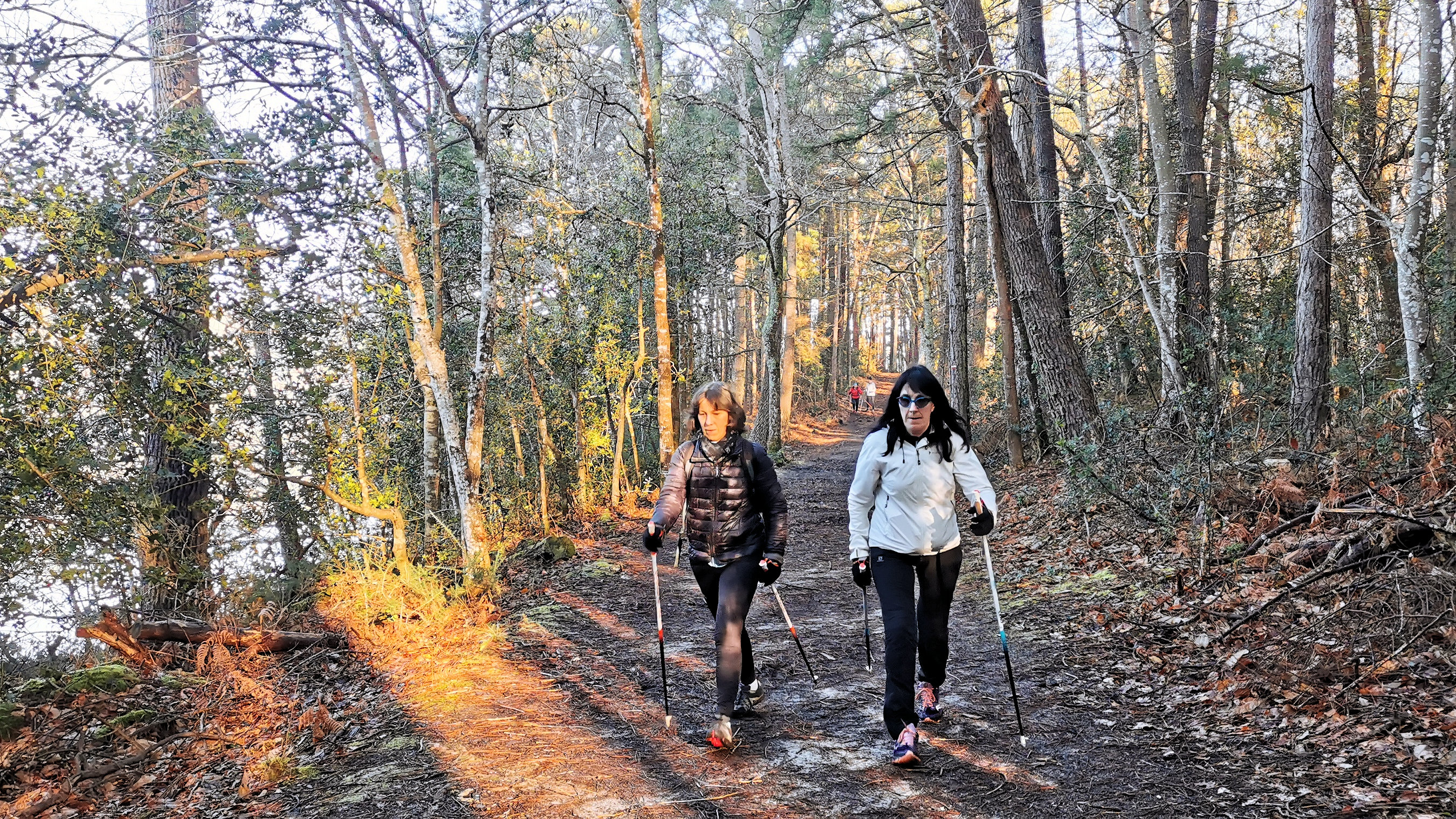 13-IMG_20210206_102809