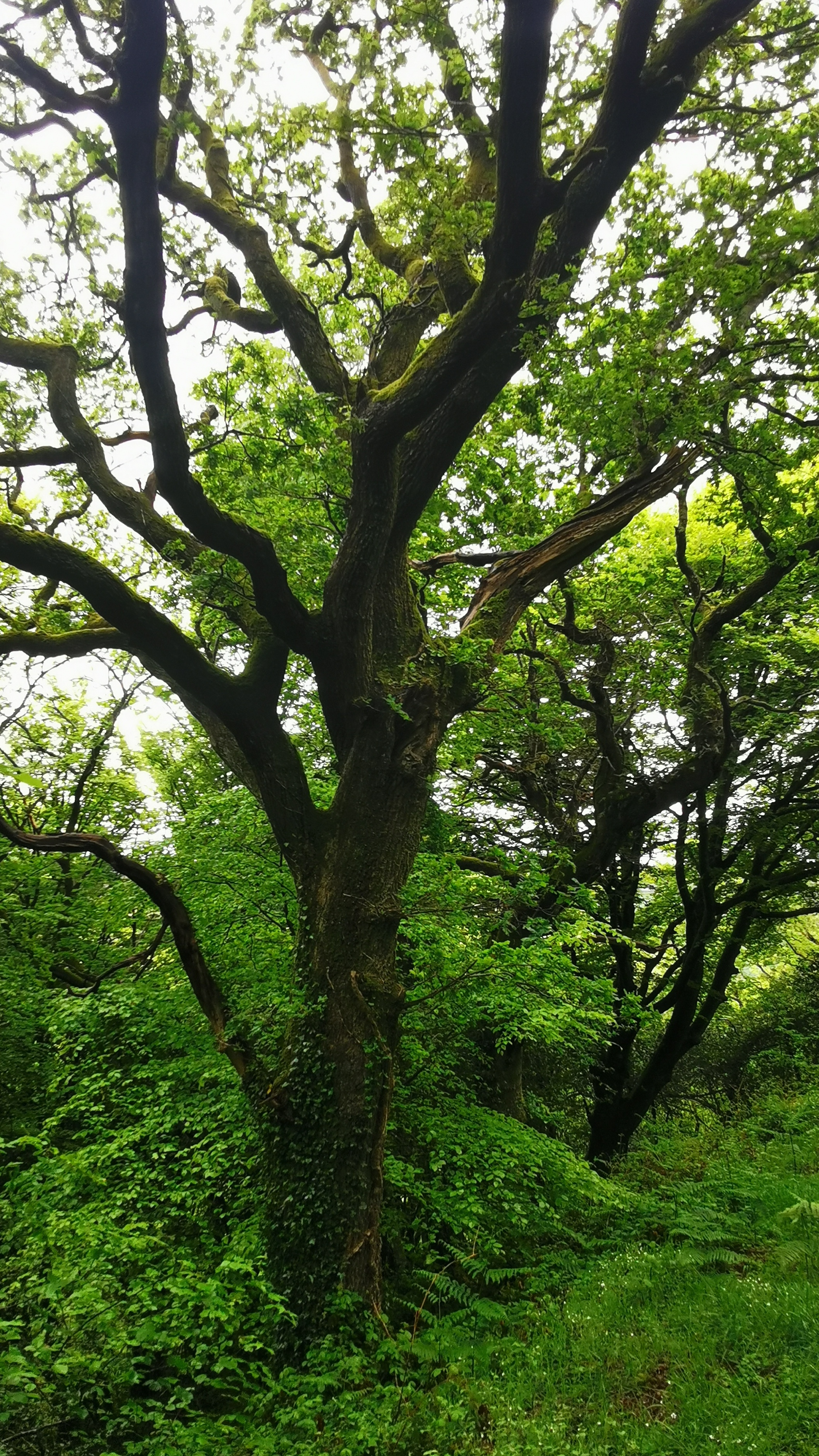 086-IMG_20210513_110022