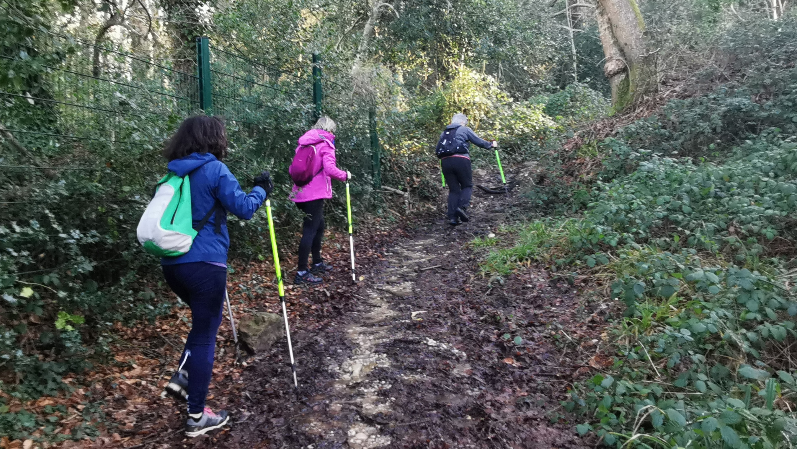 07-IMG_20210223_095018_1