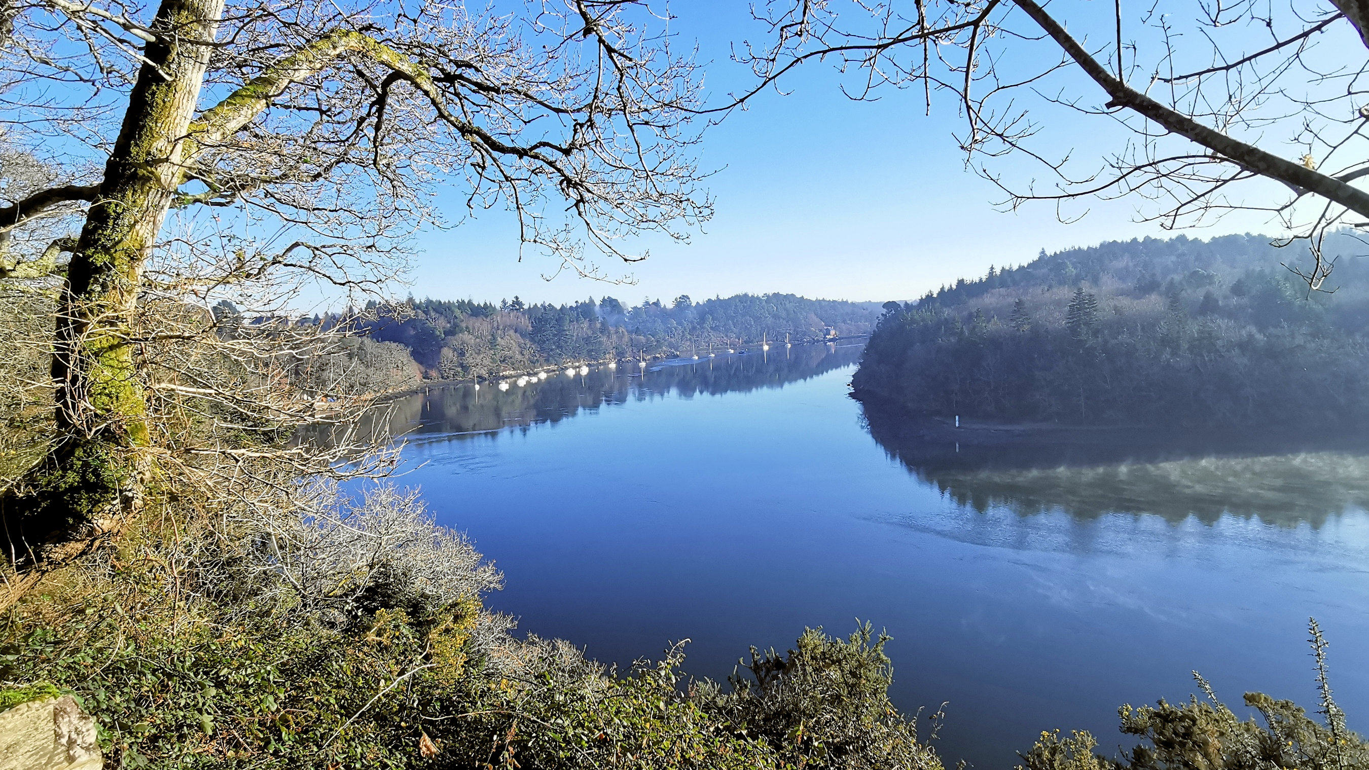 23-IMG_20210109_104352