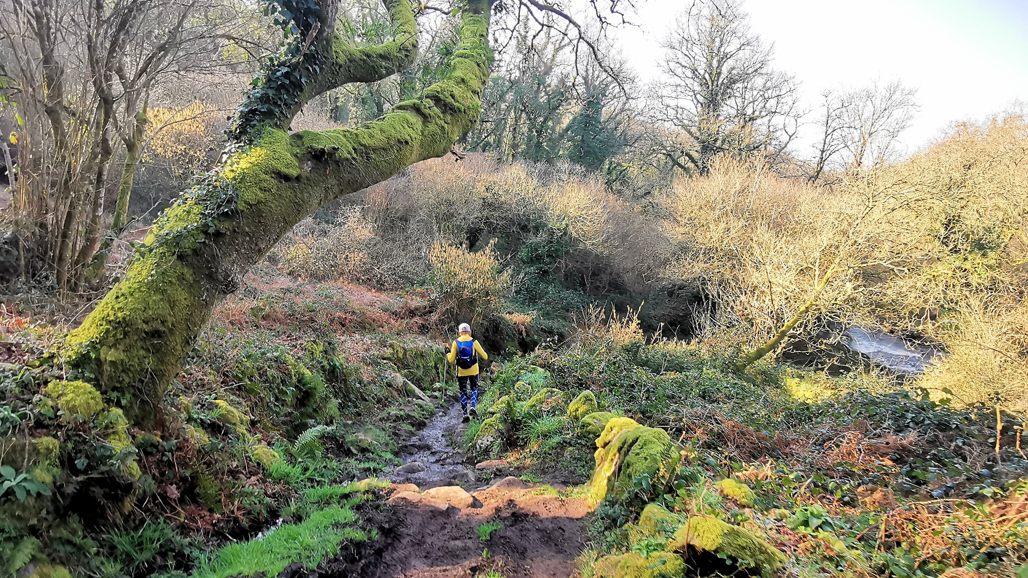 50-IMG_20210307_103925