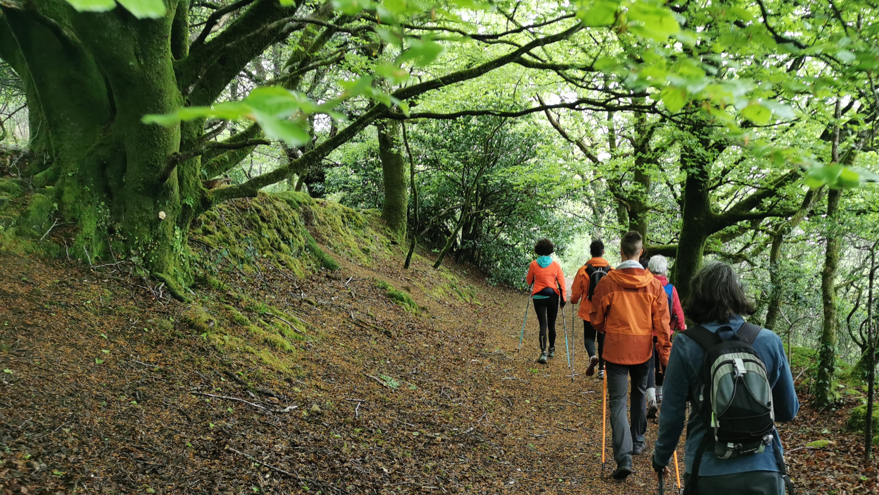 65-IMG_20210508_112720