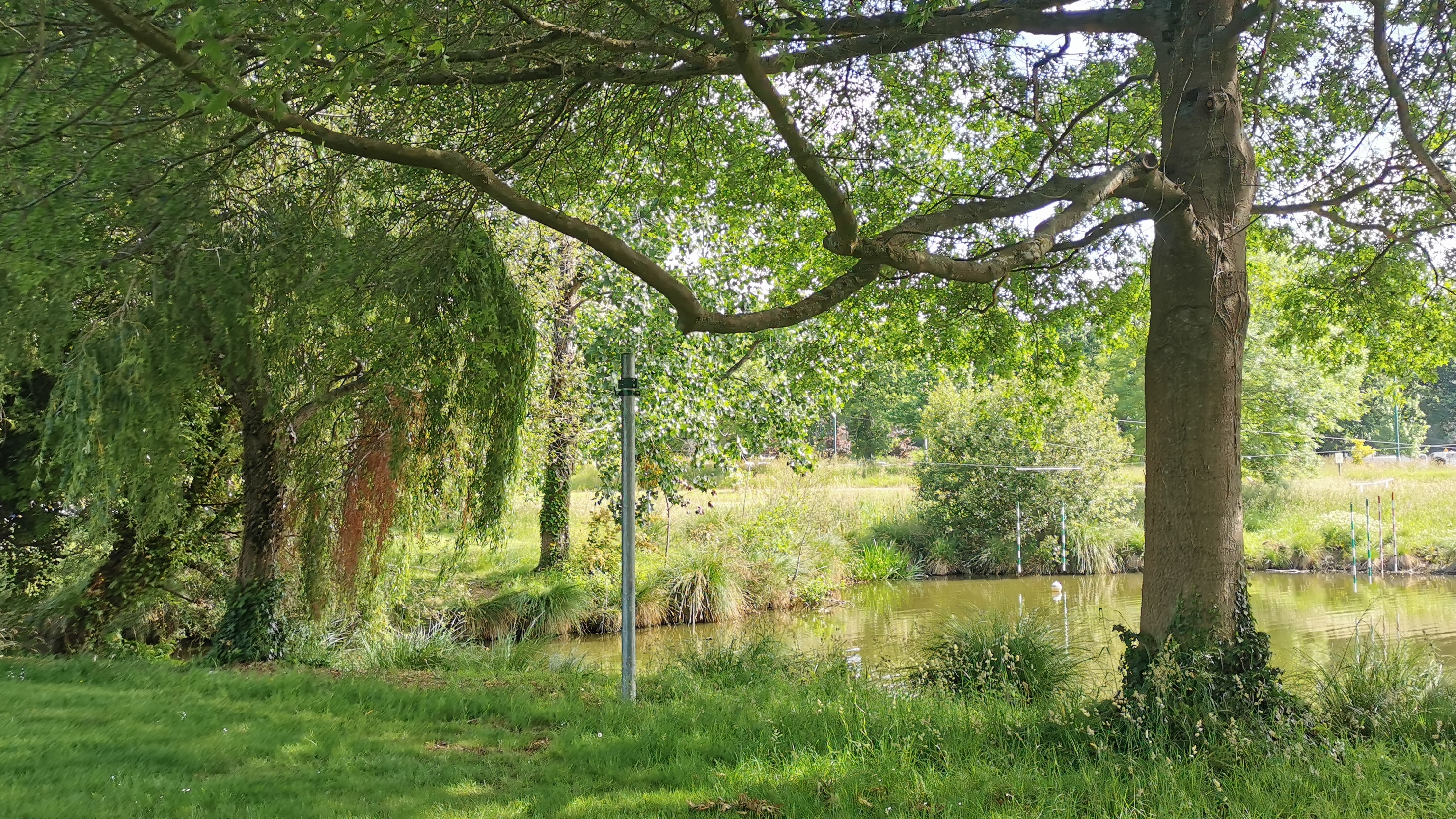 27-IMG_20210608_111339