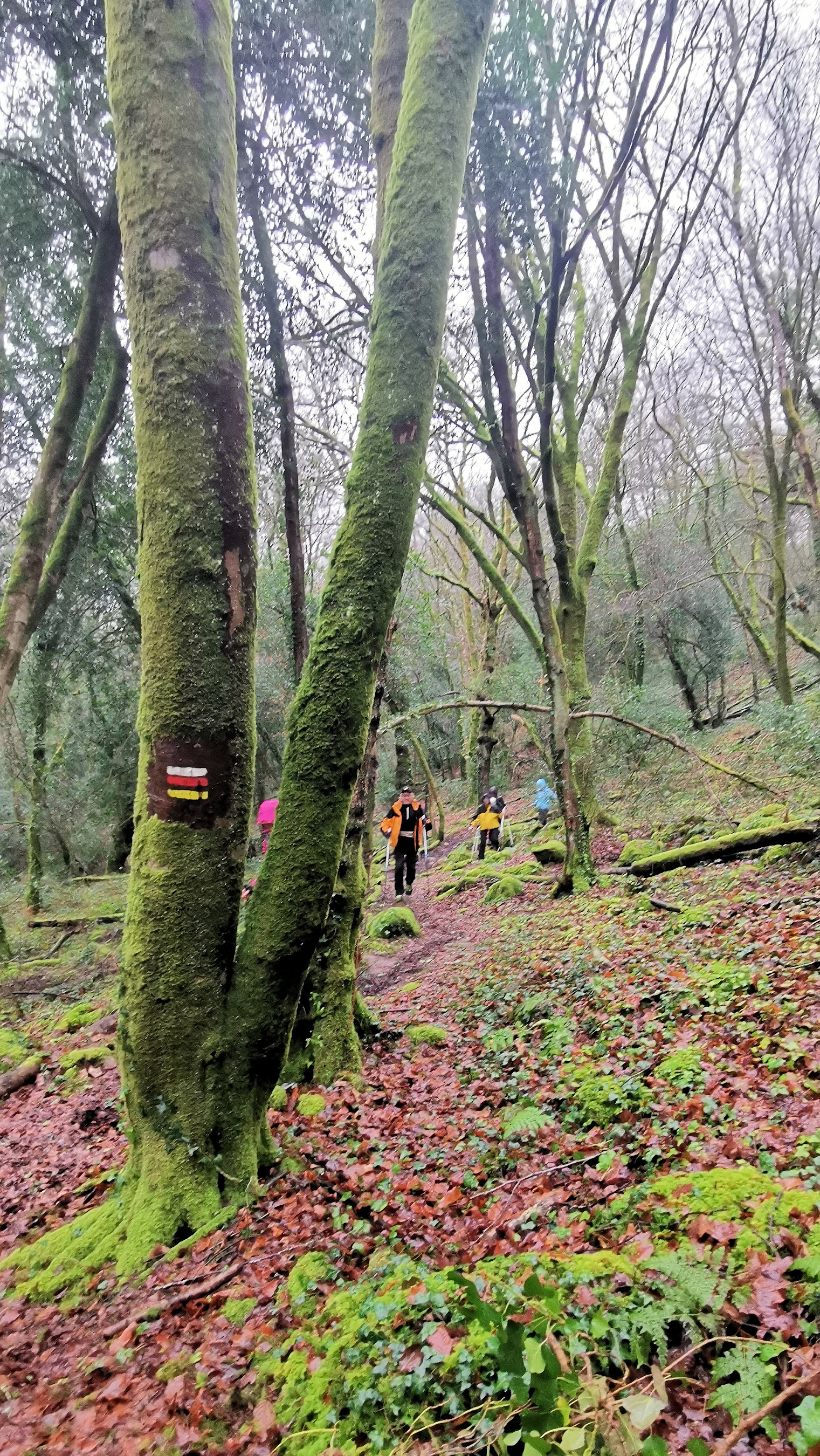 39-IMG_20210121_104029