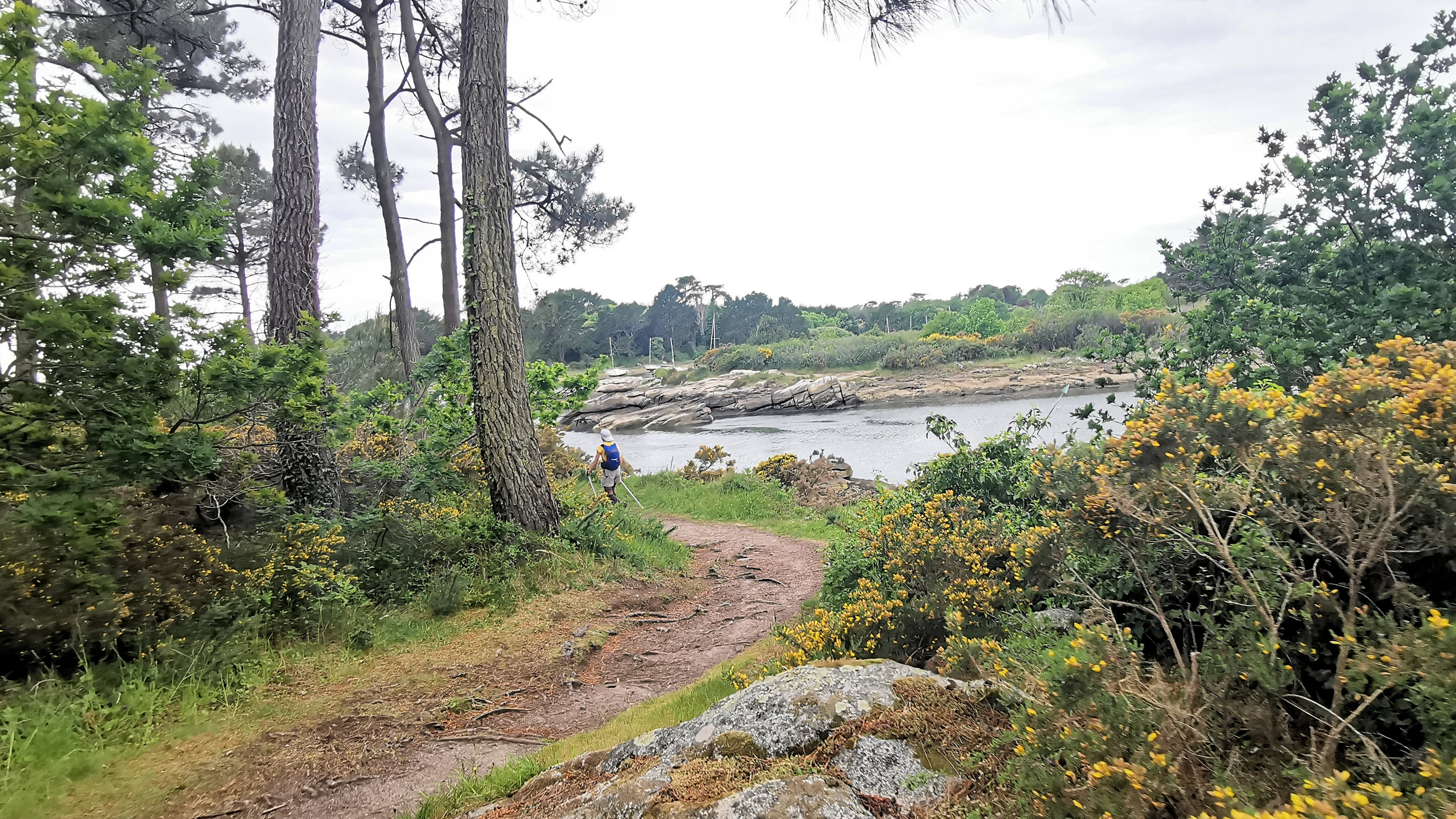 61-IMG_20210520_103731