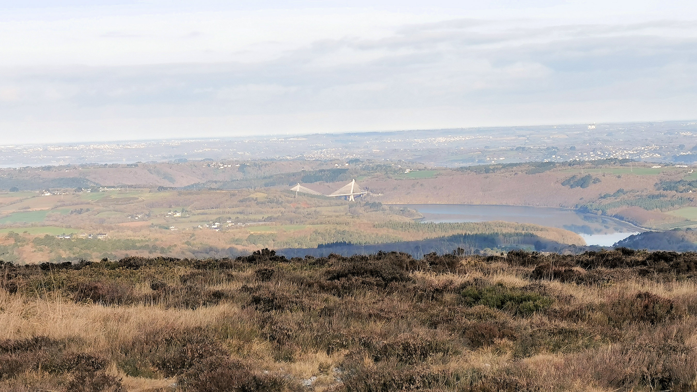 121-IMG_20210110_111655