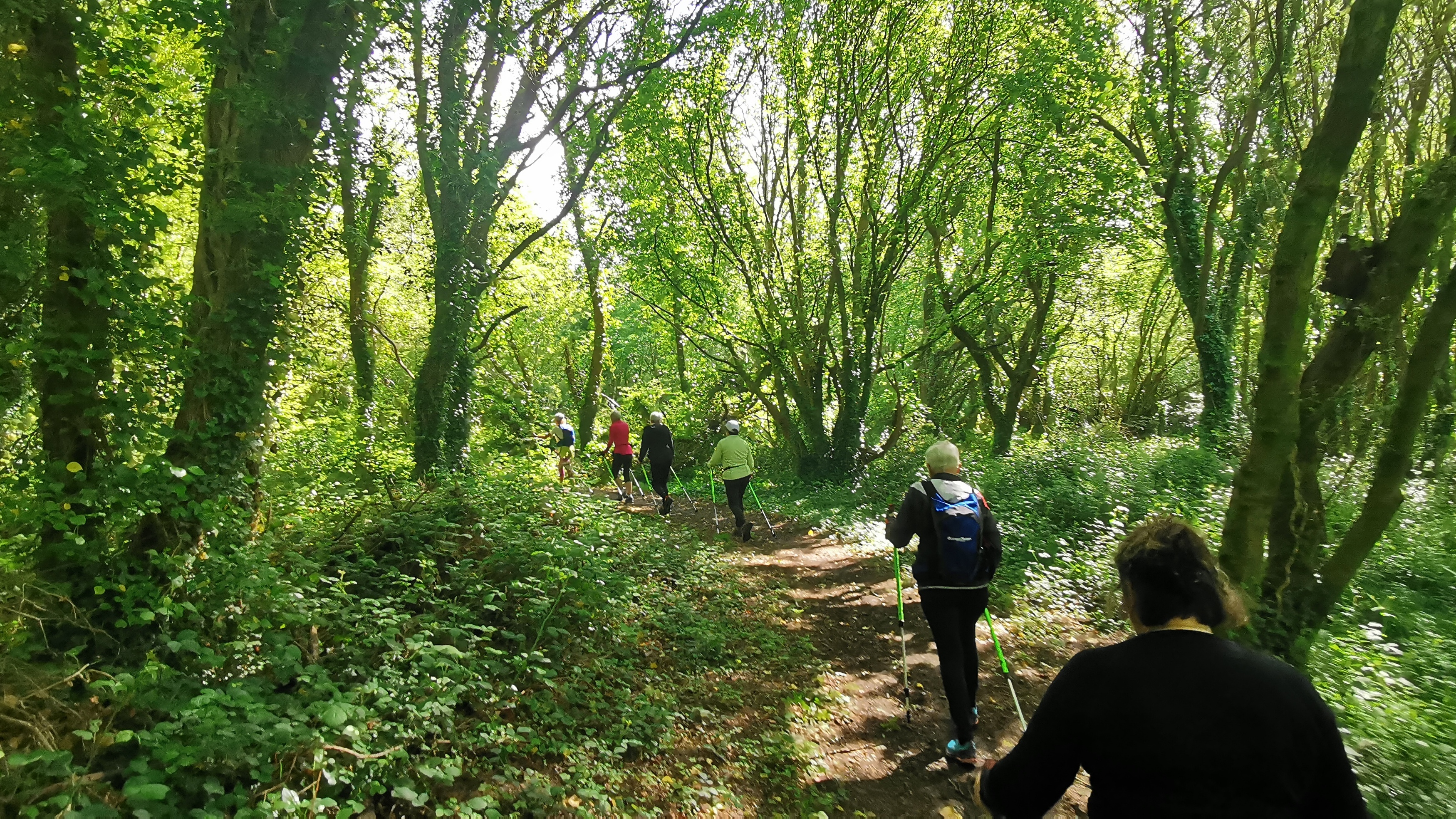 19-IMG_20210518_105651