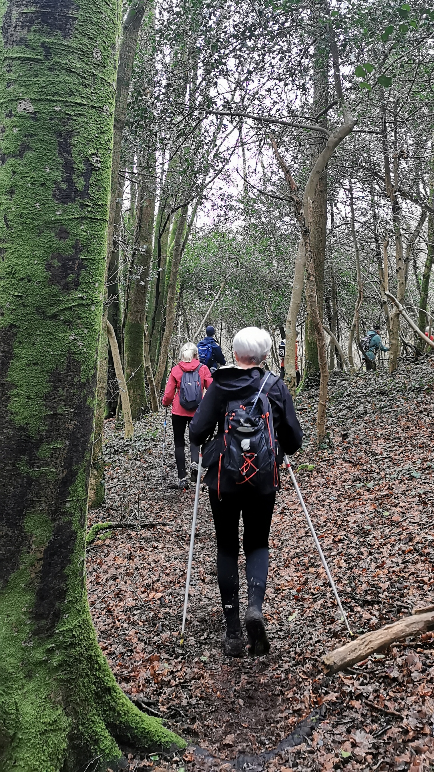 029-IMG_20210220_104321