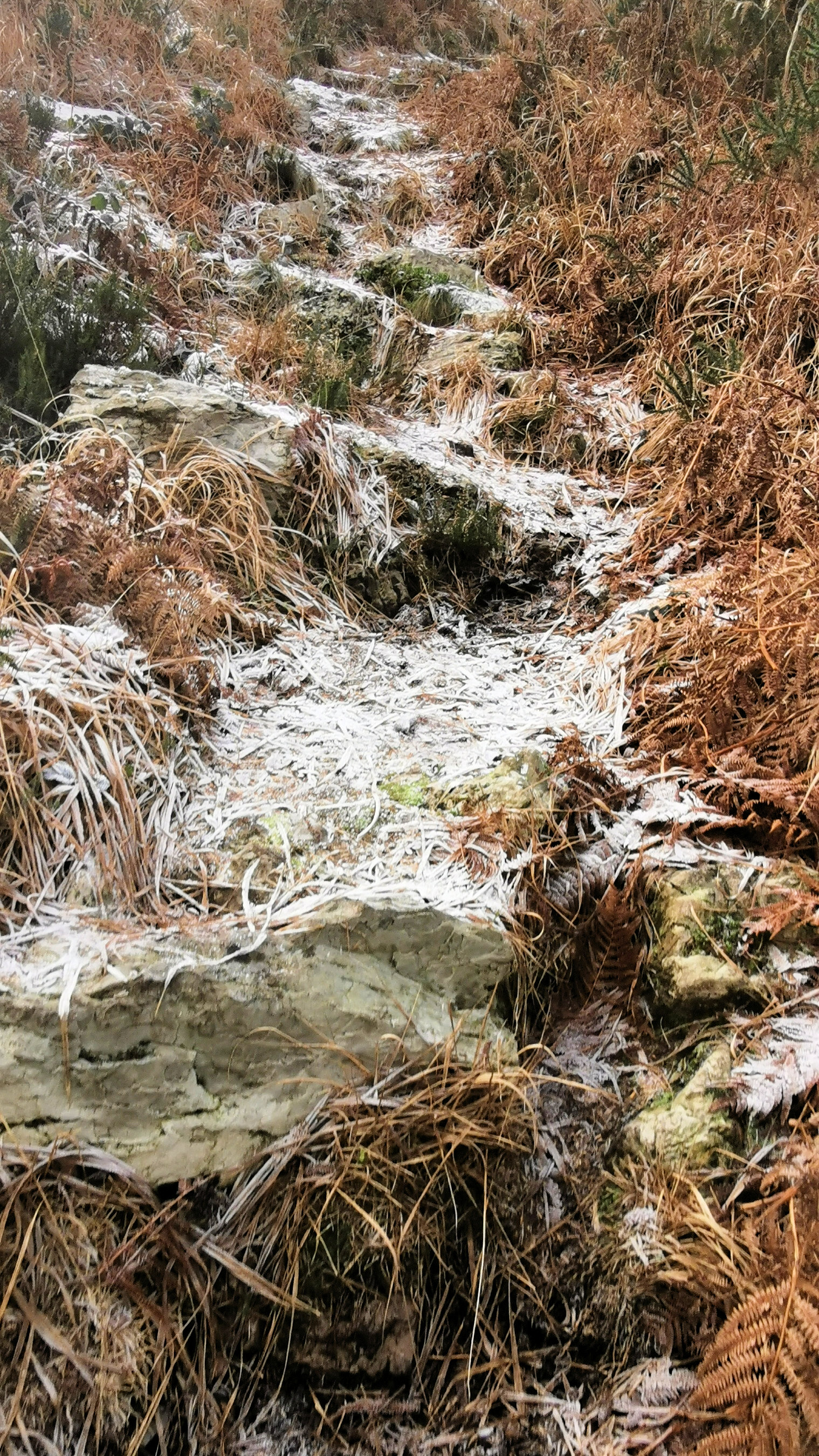 090-IMG_20210110_105533