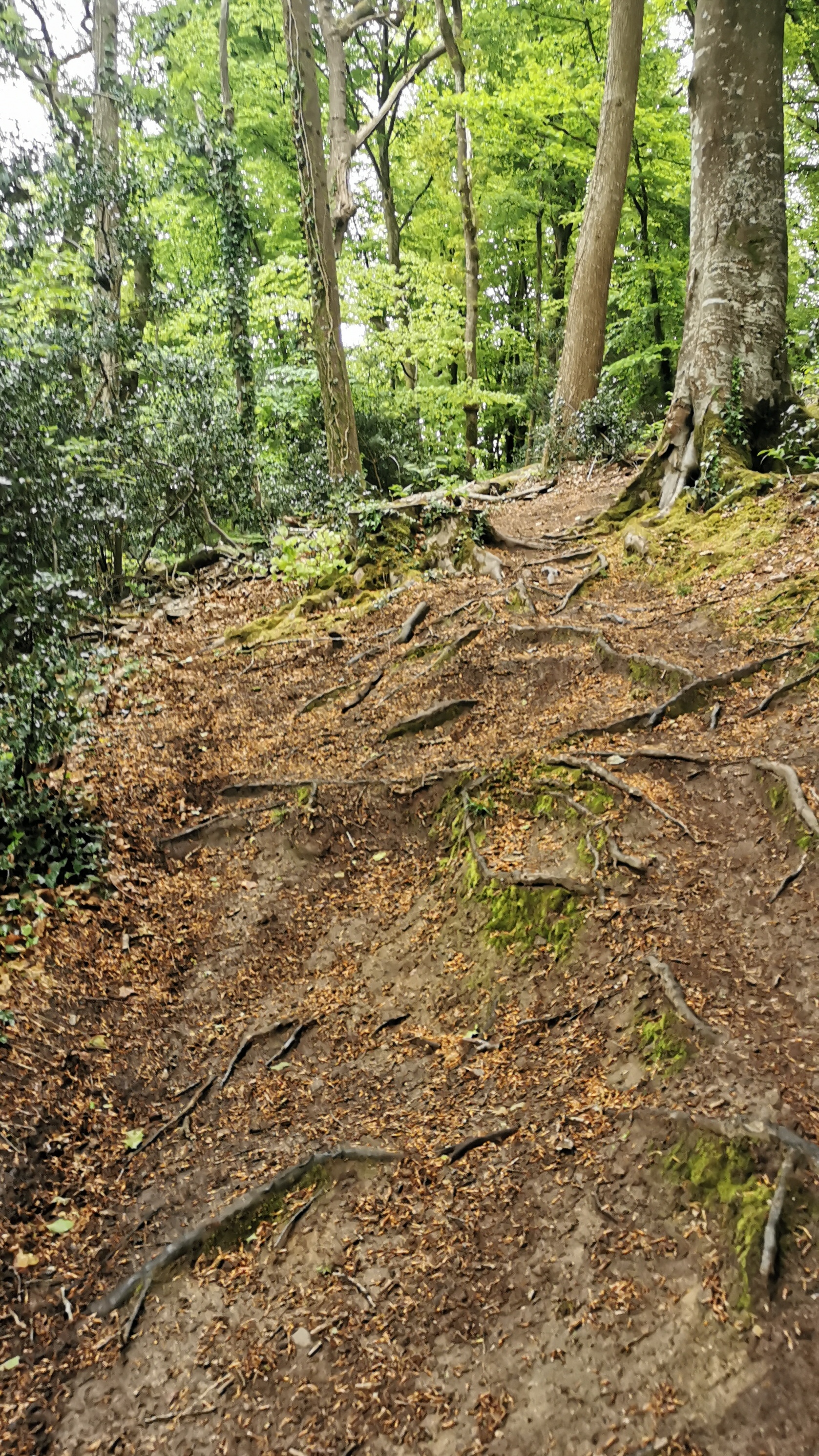 08-IMG_20210507_172723_1