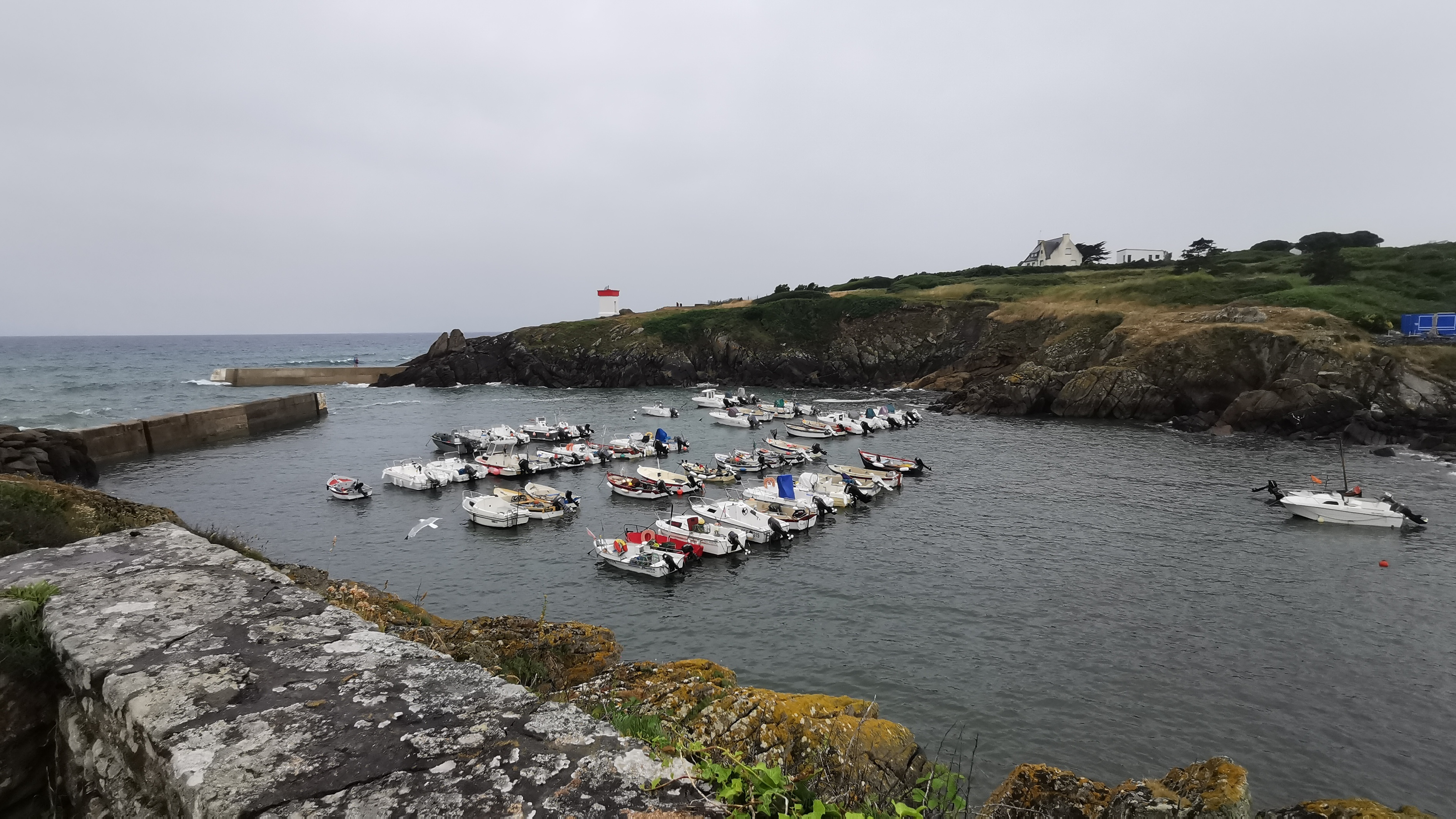 178-IMG_20210620_115337