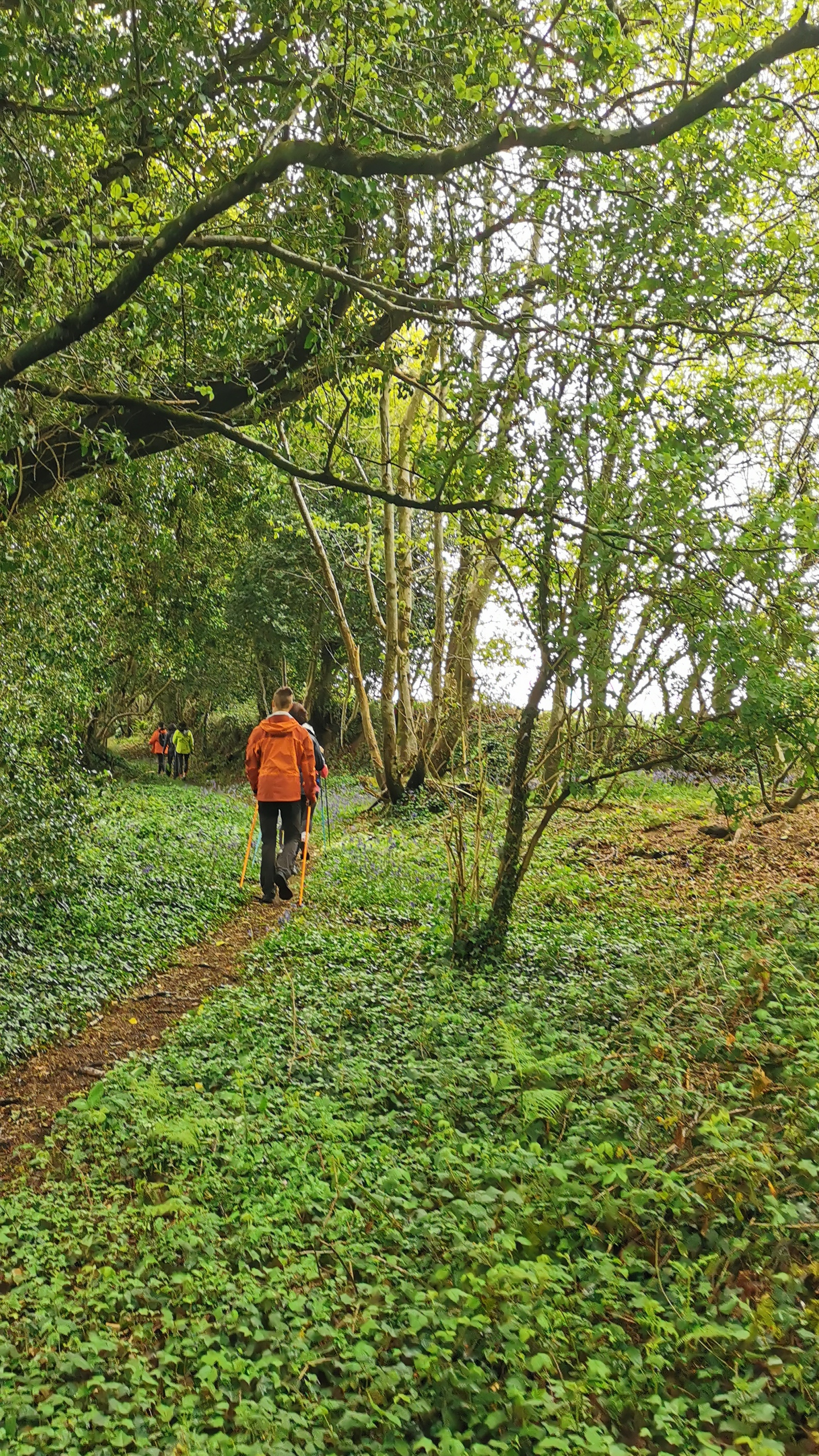 20-IMG_20210508_101727