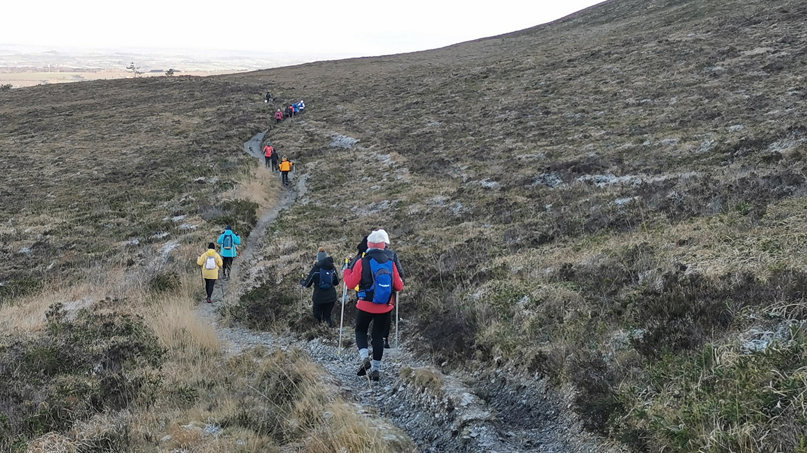 034-IMG_20210110_101734