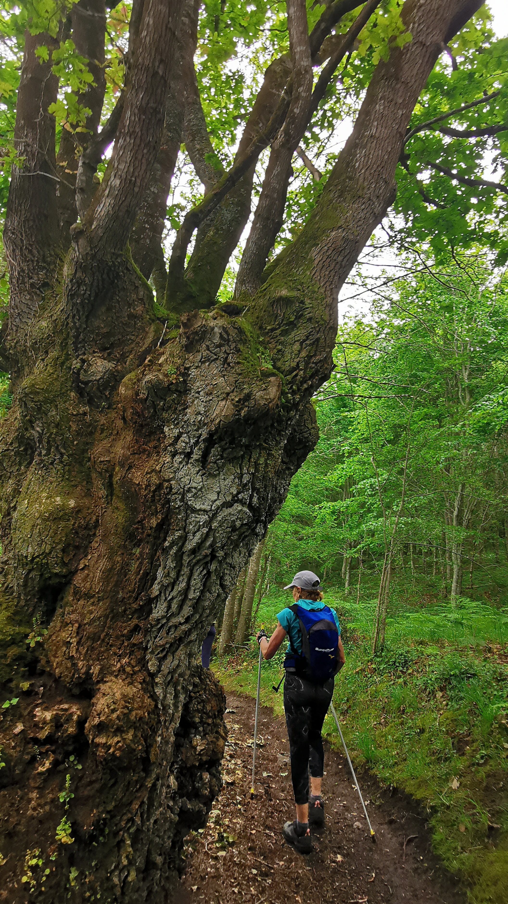 38-IMG_20210527_111101