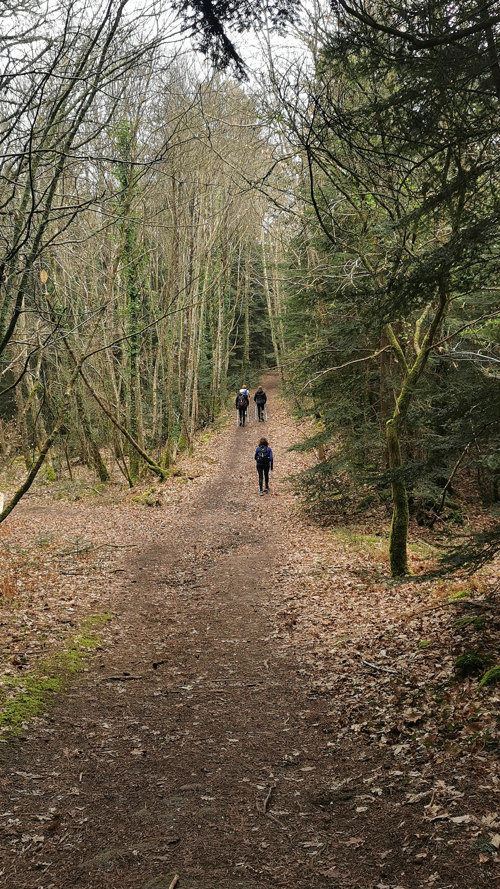 43-IMG_20210304_110631_1