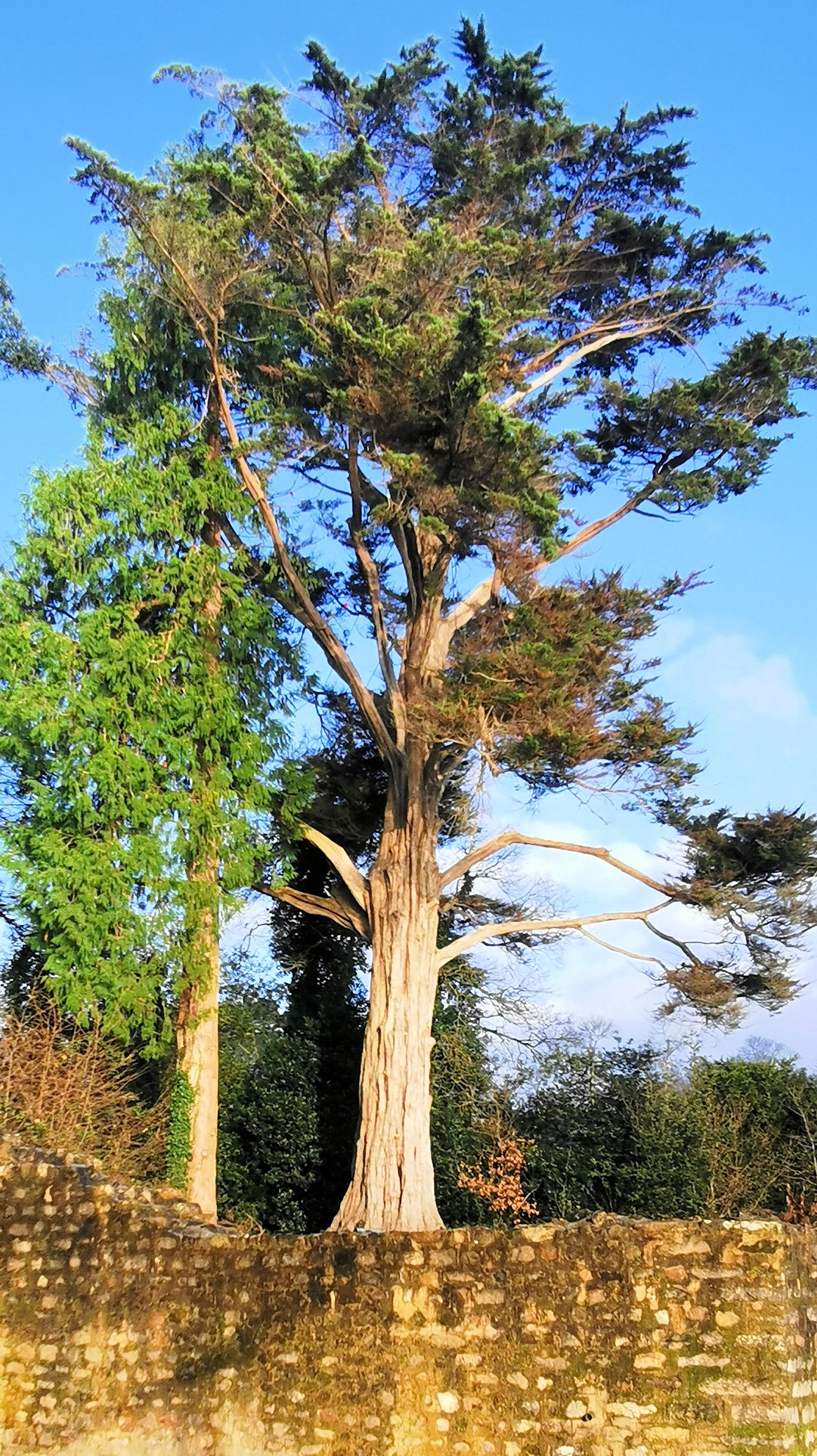 26-IMG_20210107_103243