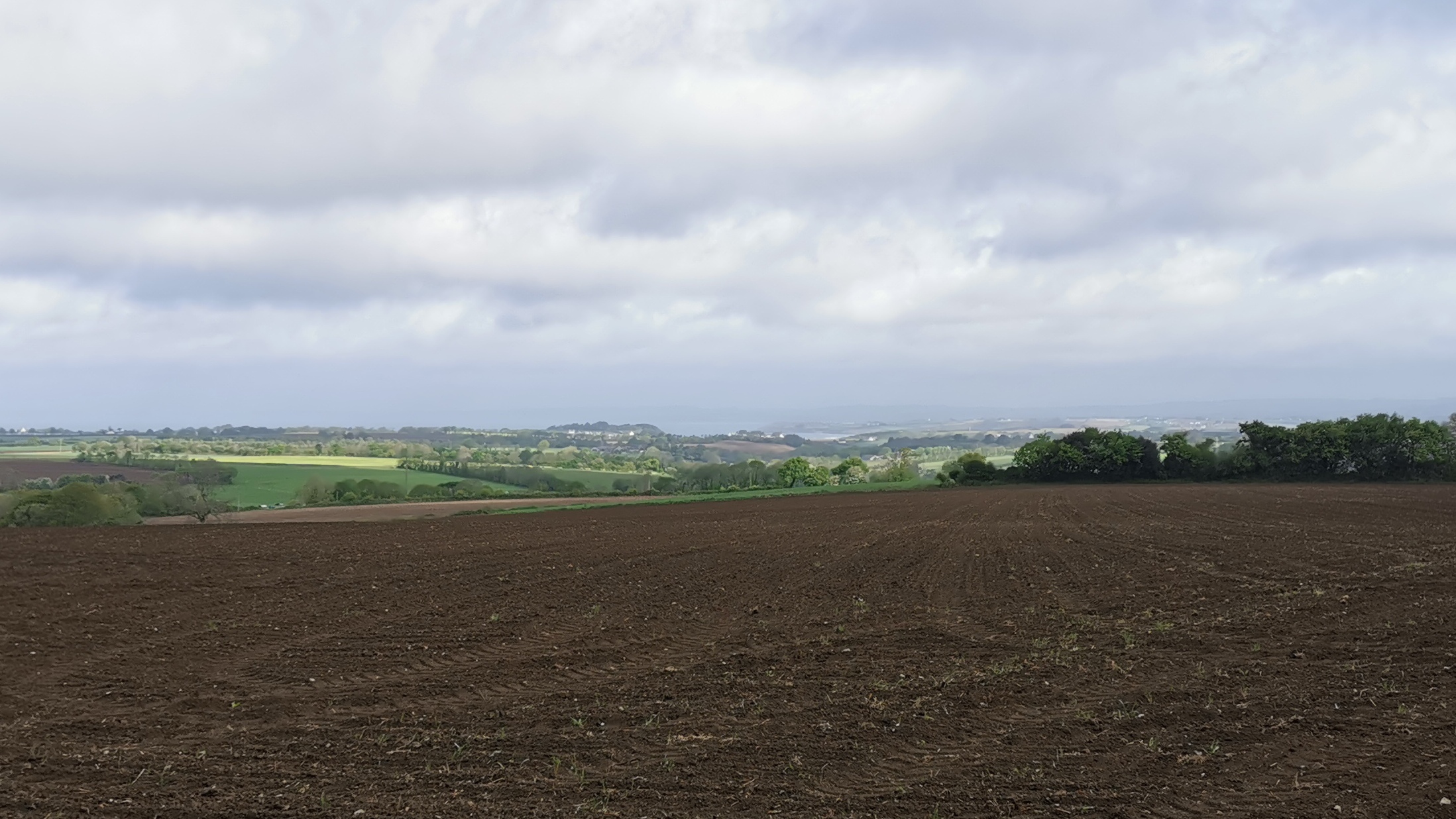 13-IMG_20210508_100342