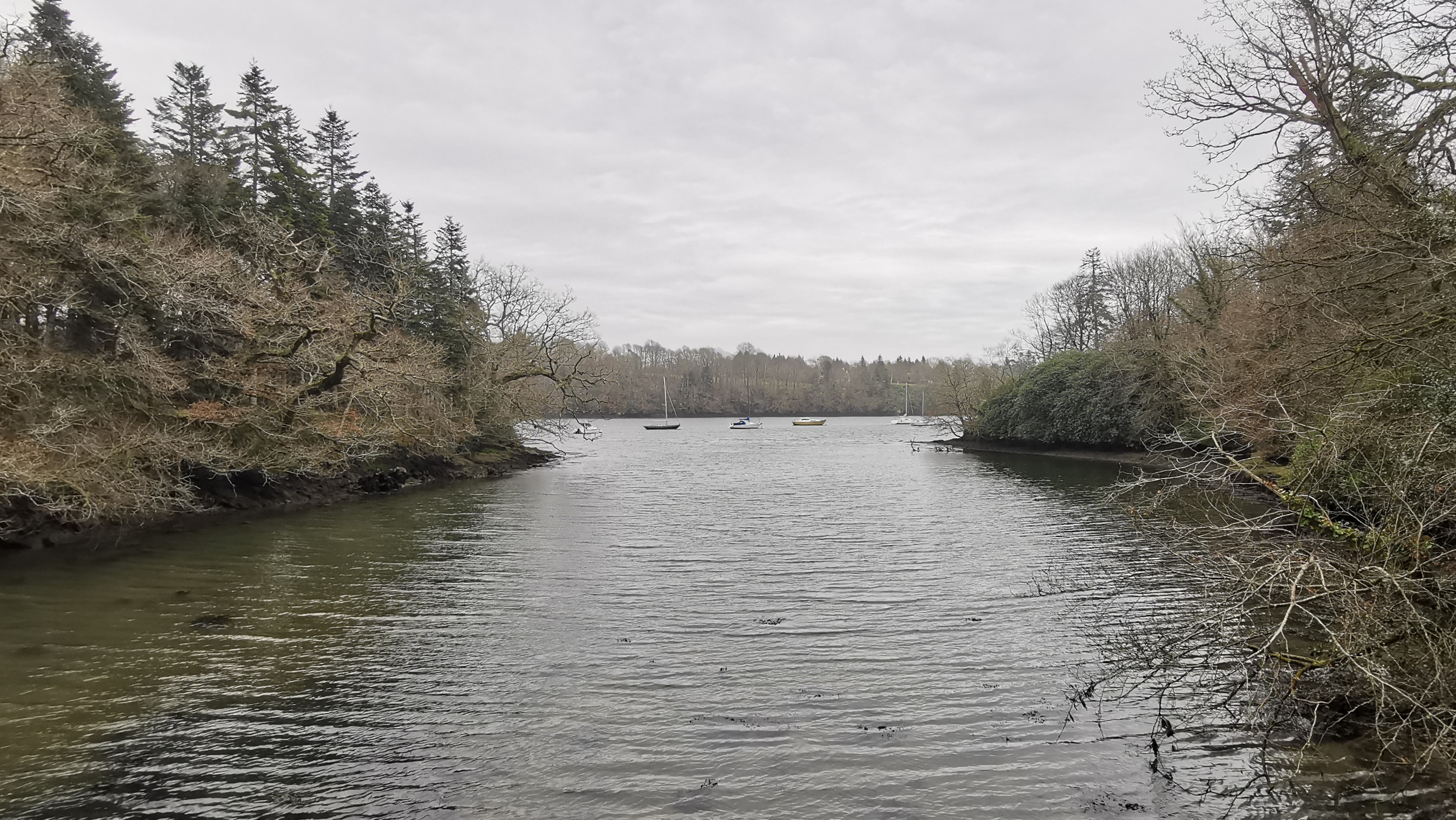 151-IMG_20210220_124021