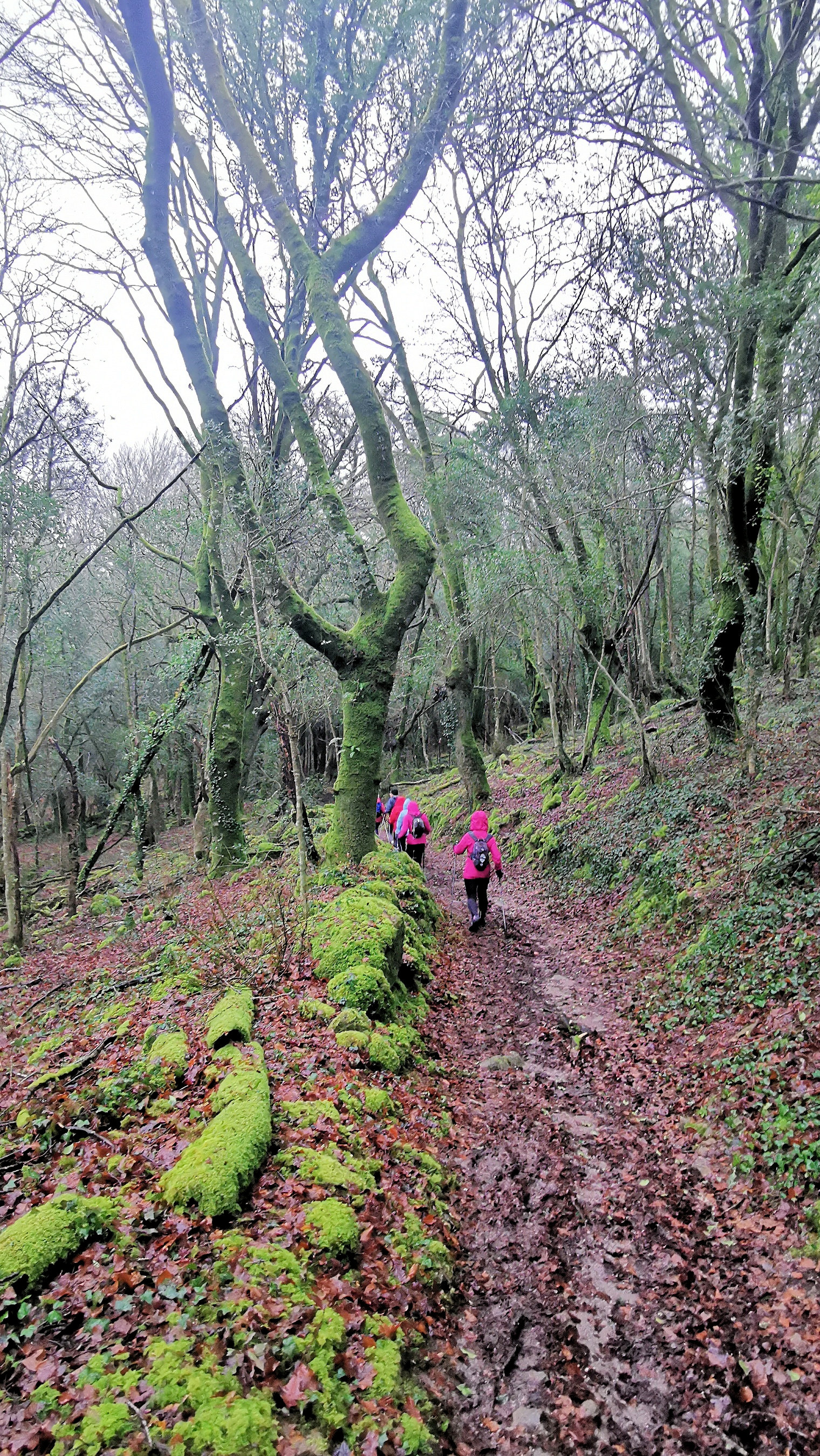 32-IMG_20210121_103633