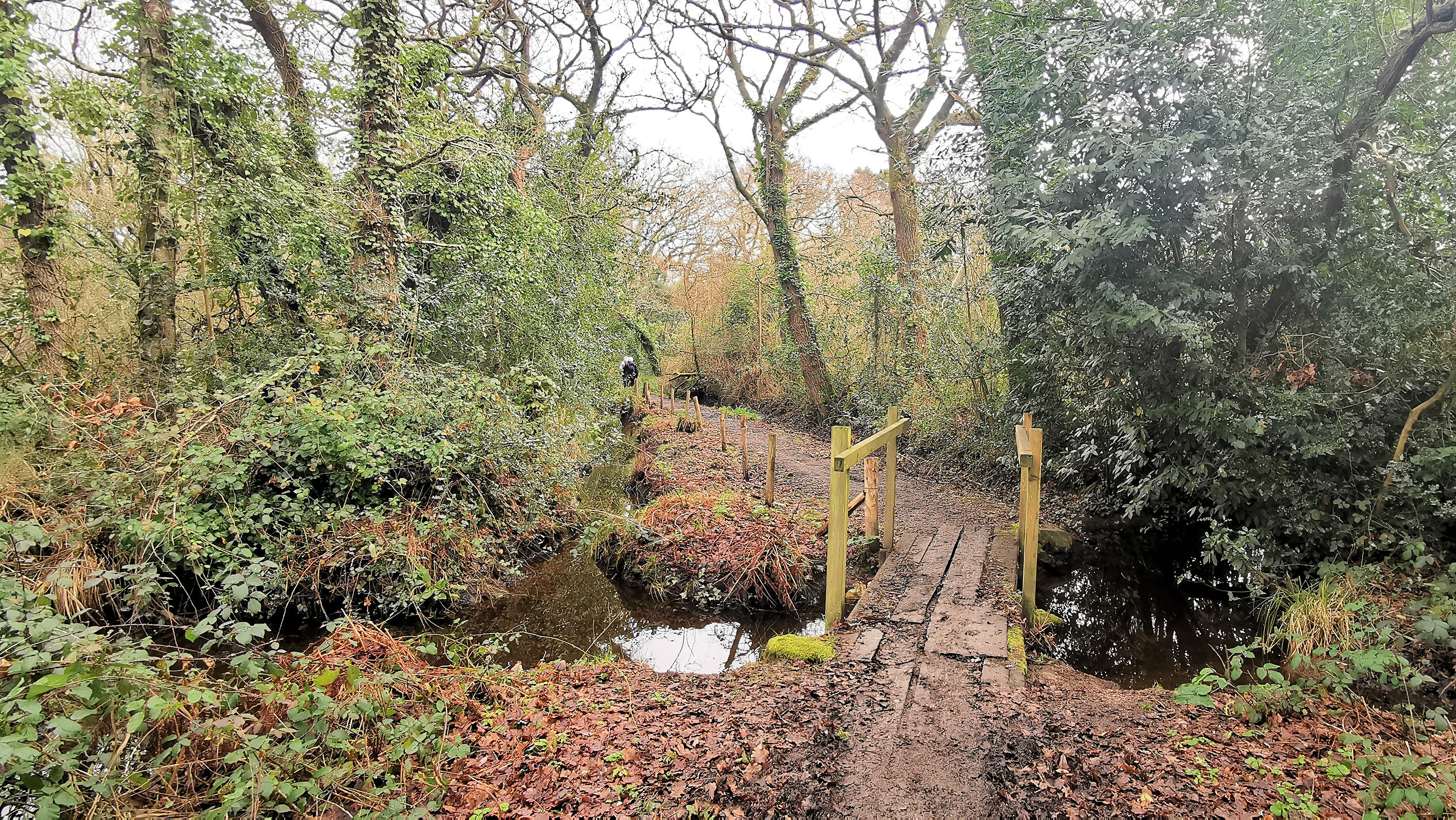 24-IMG_20210118_113438