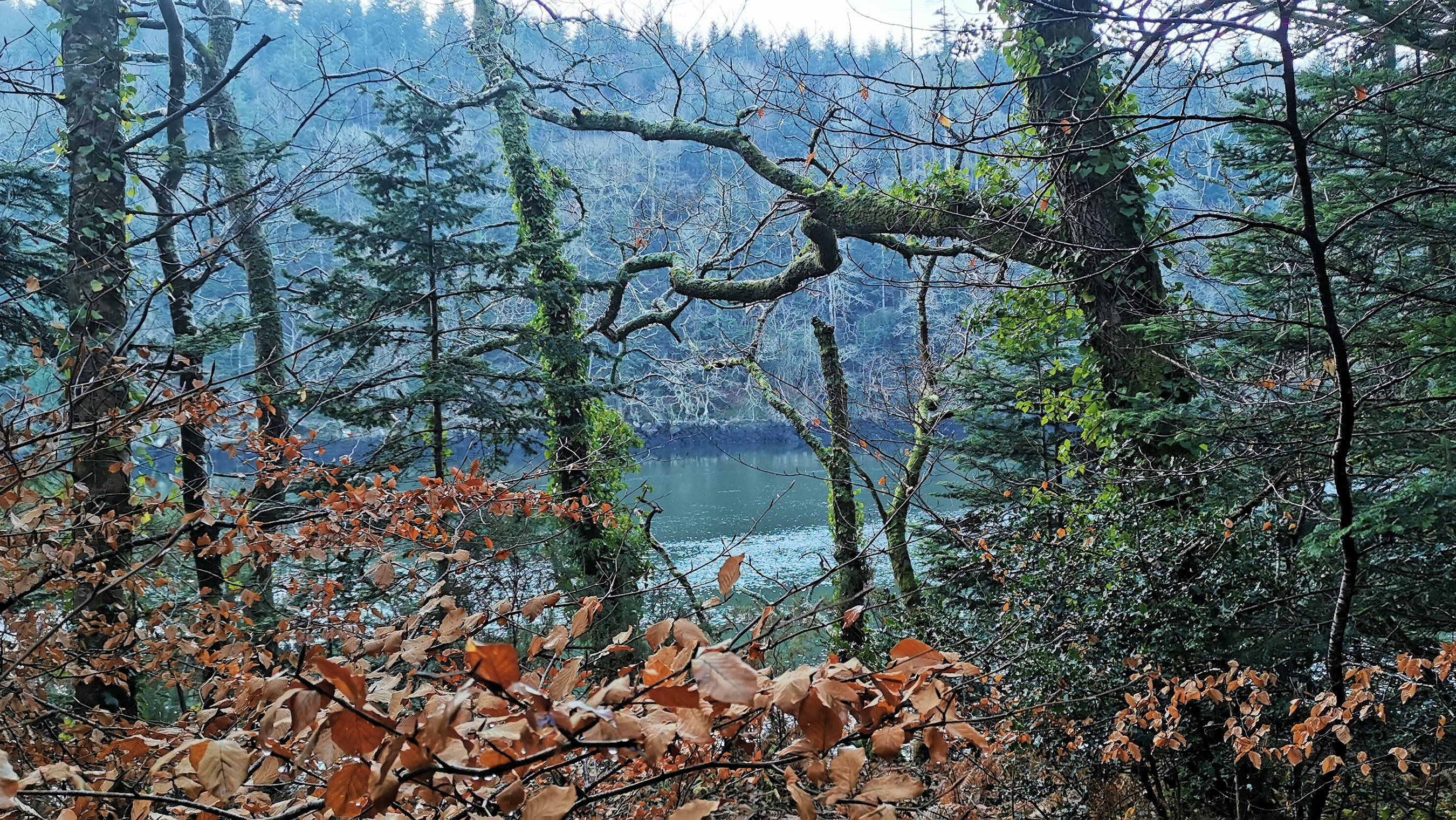 32-IMG_20210109_104929