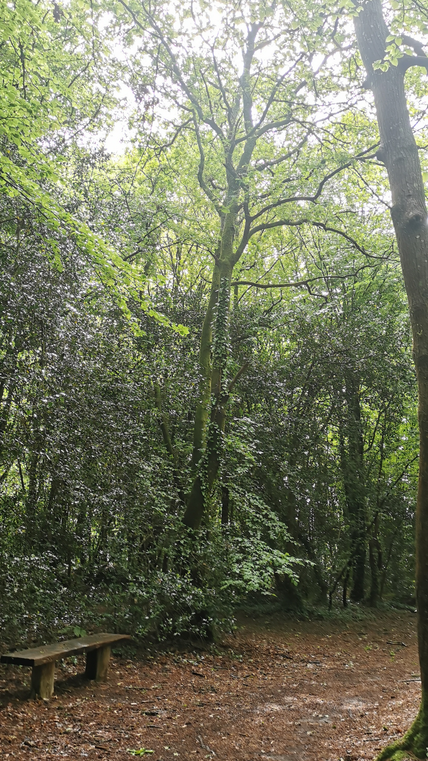 12-IMG_20210524_110709