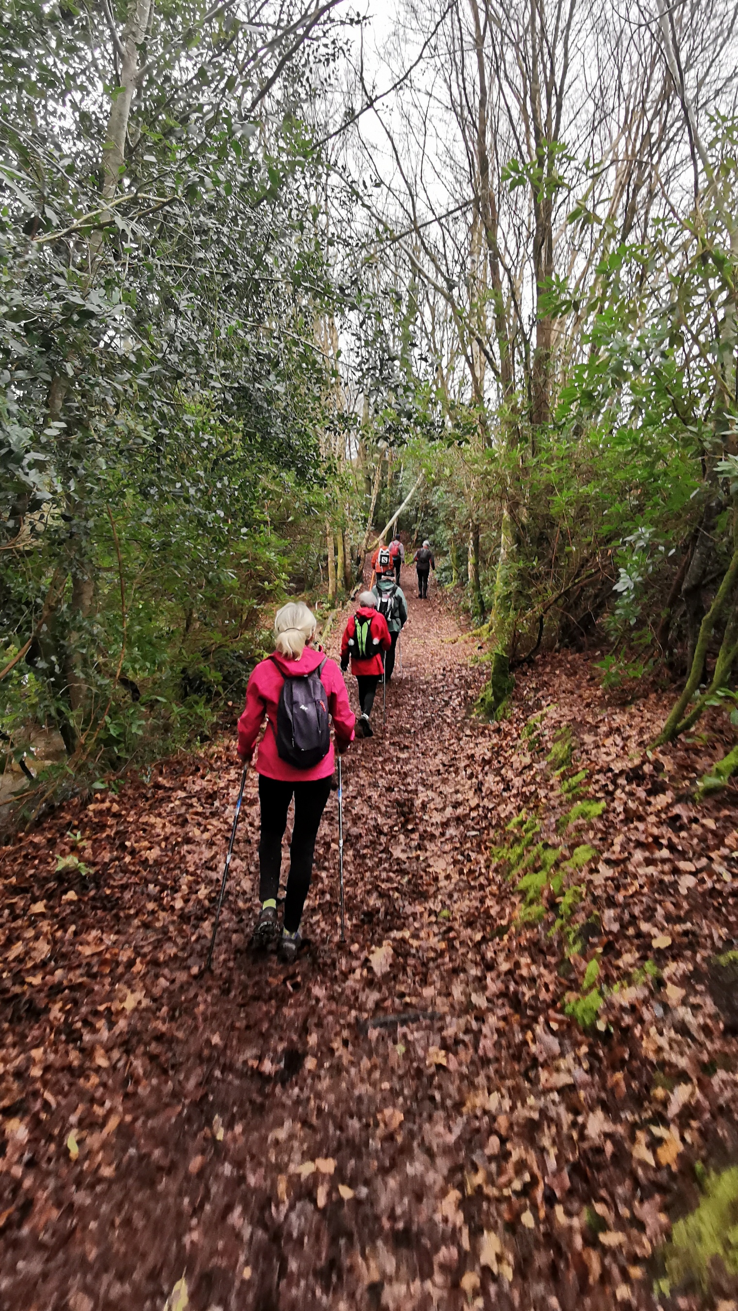 055-IMG_20210220_110841